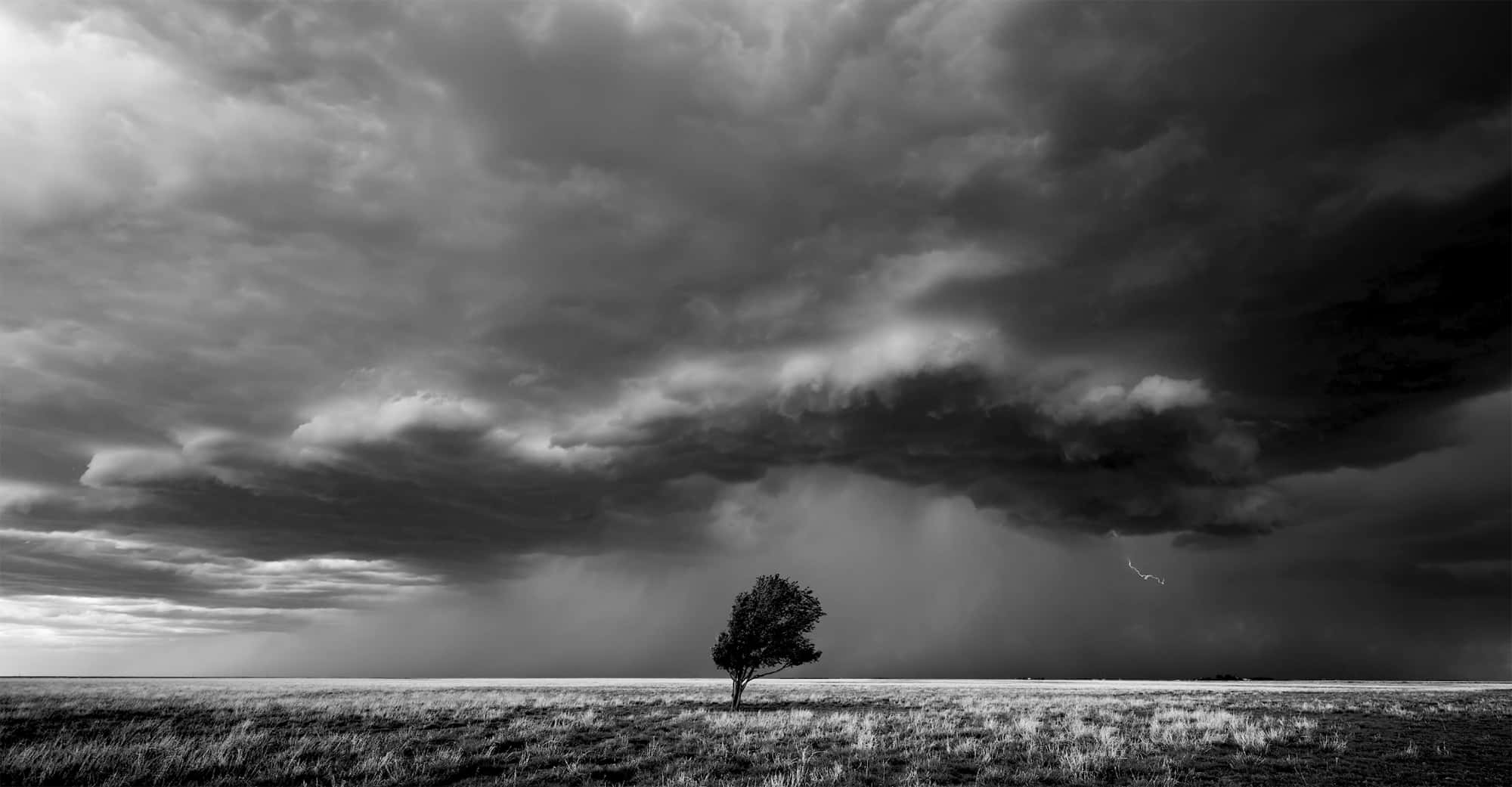 Black And White Storm 桌布 壁紙 — 一棵孤樹在廣闊田野中傲然挺立，戲劇性的暴風雲在頭頂籠罩，遠方閃電劃破天際。