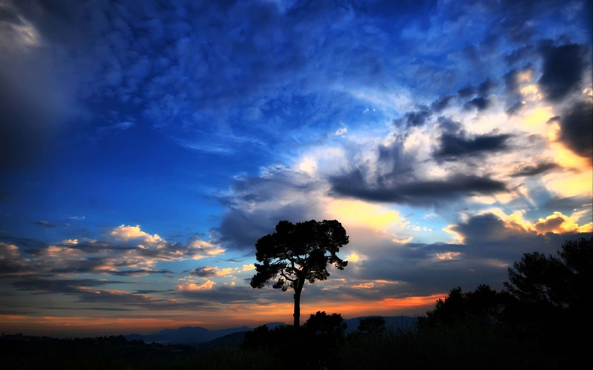 Beautiful Sky 桌布 壁紙 — 一棵孤樹在深藍色和金色雲彩的戲劇性暮色天空中形成剪影。
