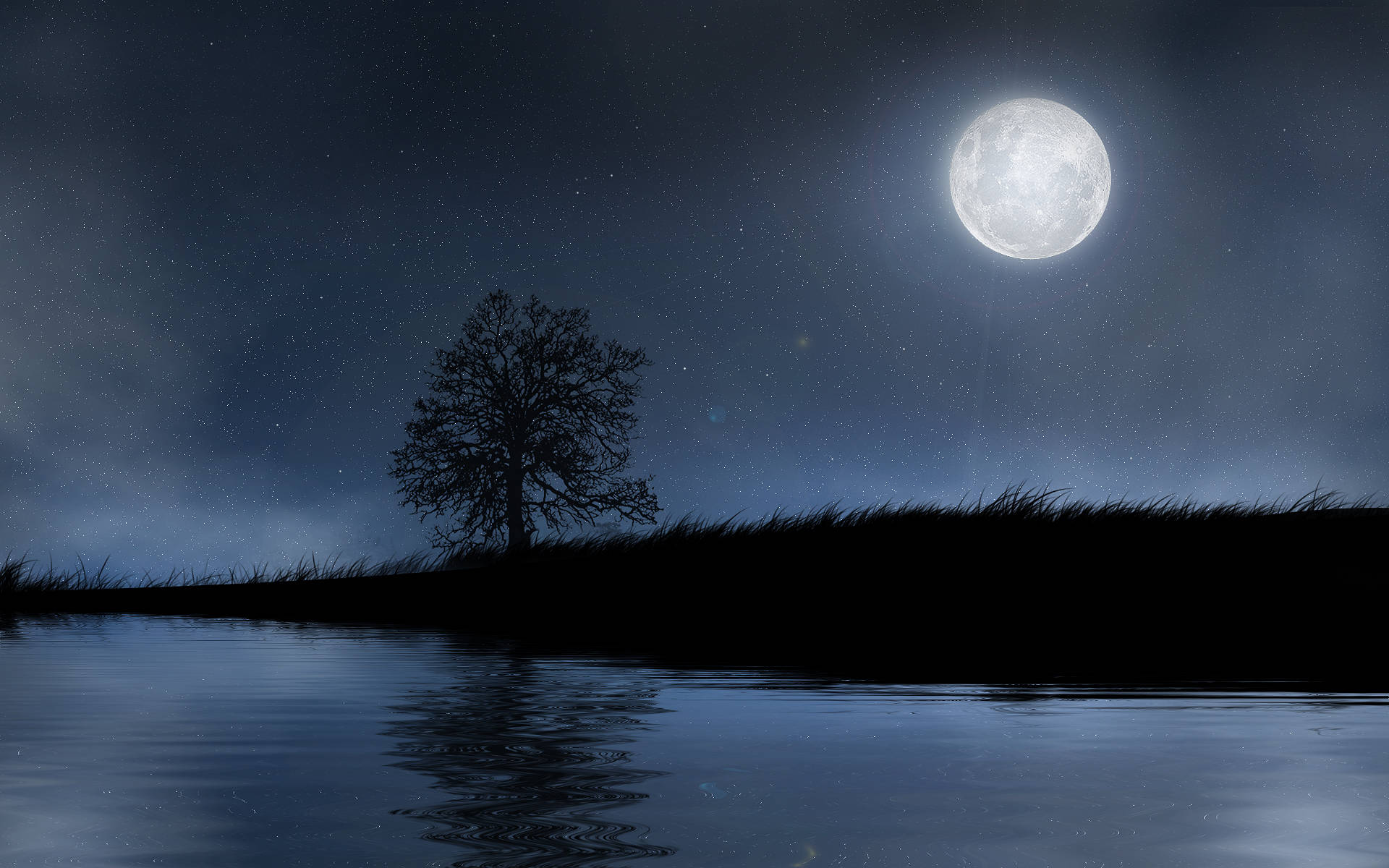 夜空 桌布 壁紙 — 一棵孤樹在繁星點點的夜空下形成剪影，滿月將其光芒投射在平靜的水面上。