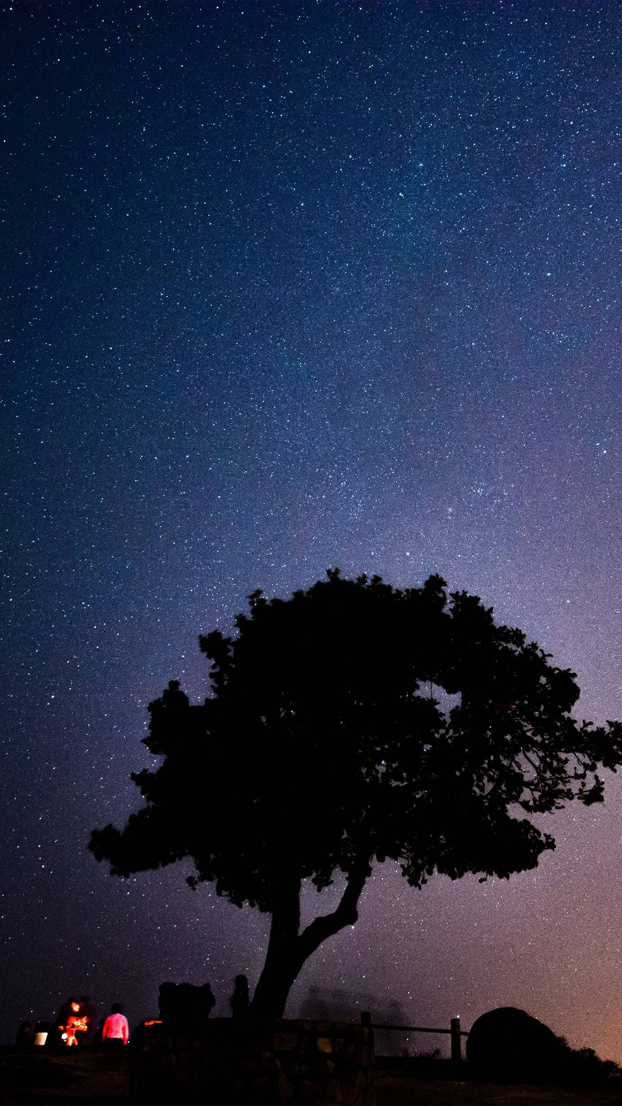 星星動圖 桌布 壁紙 — 一棵孤樹在繁星點點的夜空下形成剪影，下方有群人聚集在營火旁。