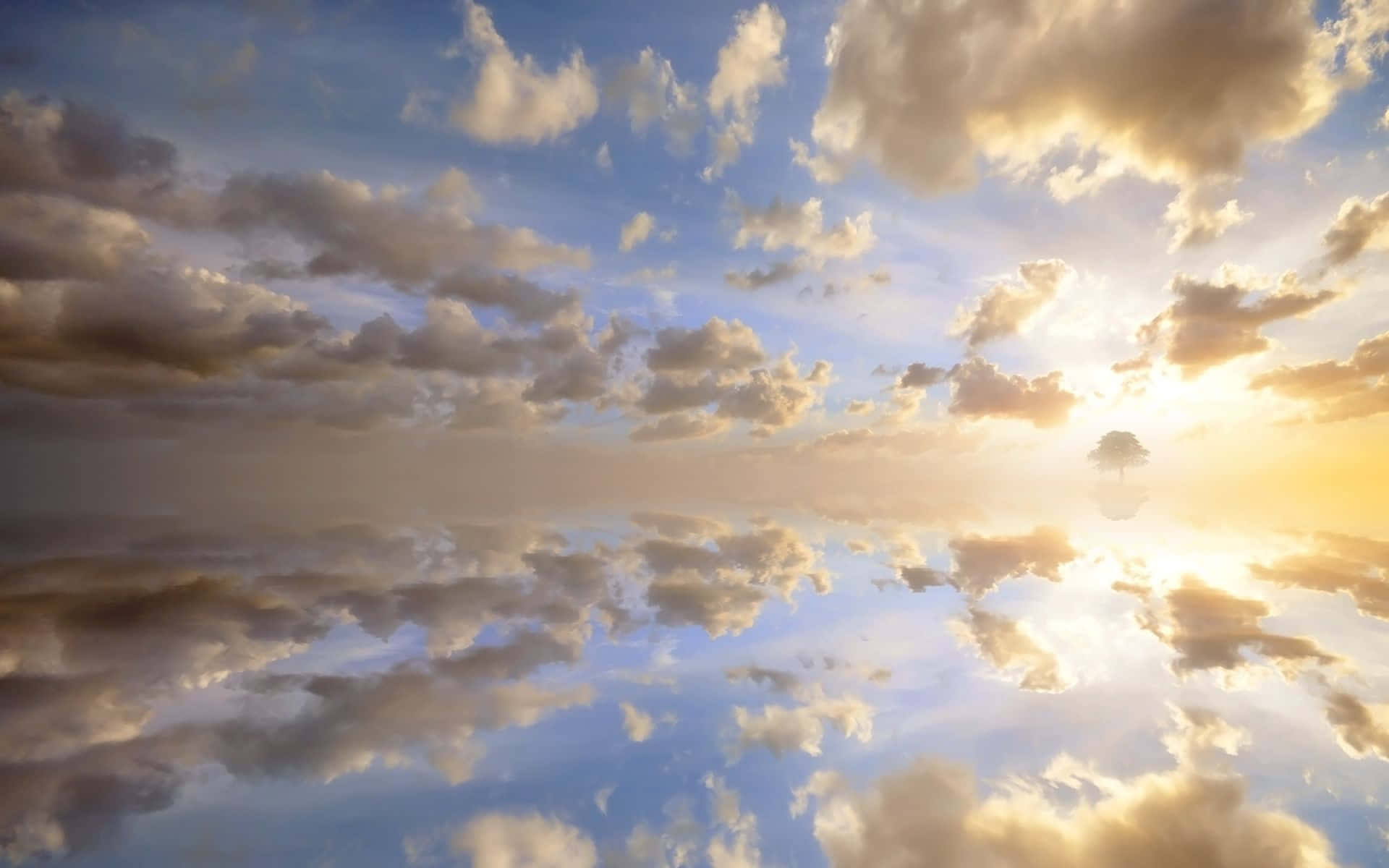 Clouds Aesthetics 桌布 壁紙 — 一棵孤樹在金色日落天空的襯托下形成剪影，完美倒映在下方平靜的水面上。