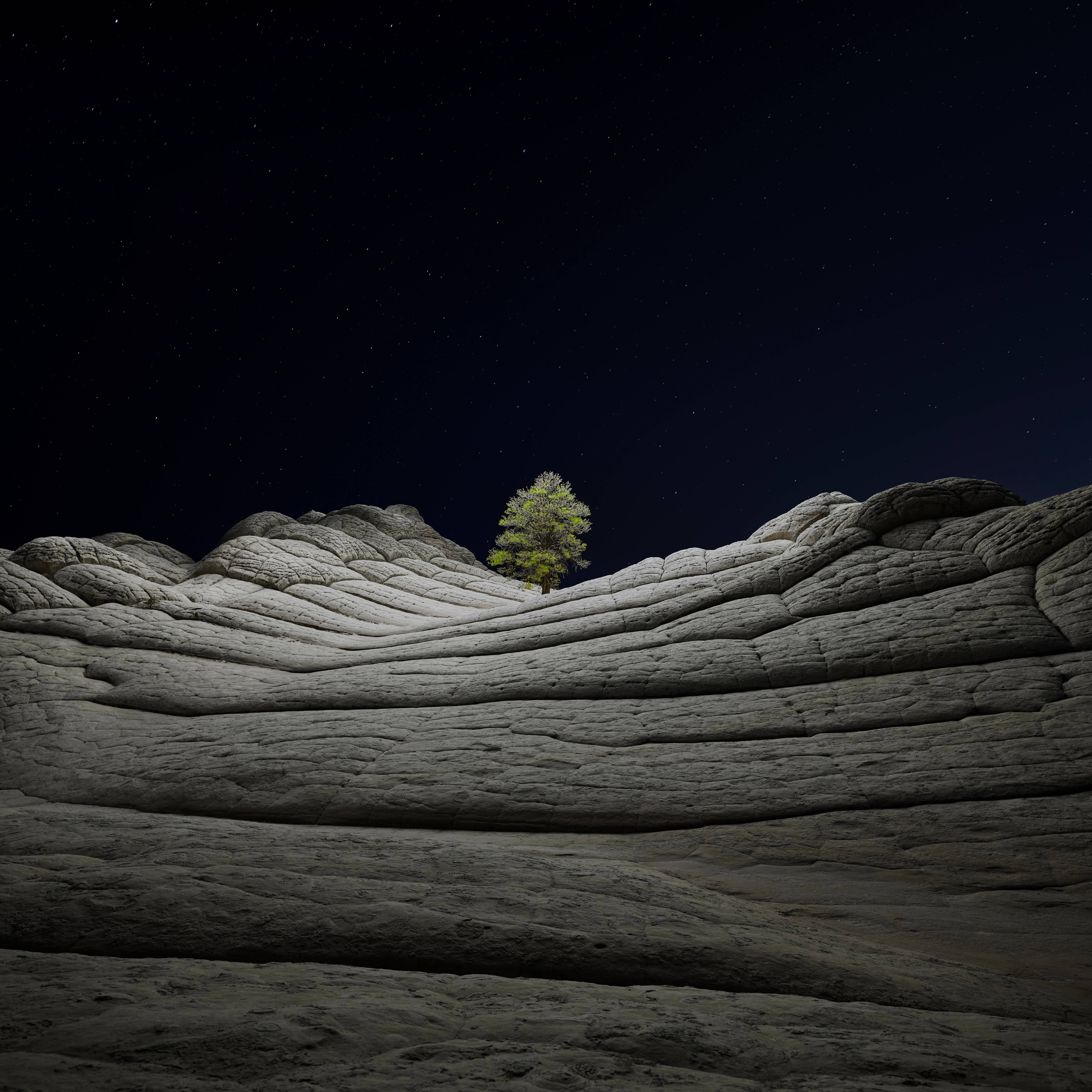 Sur 桌布 壁紙 — 一棵孤樹堅韌地矗立在紋理岩石層上，星空下。