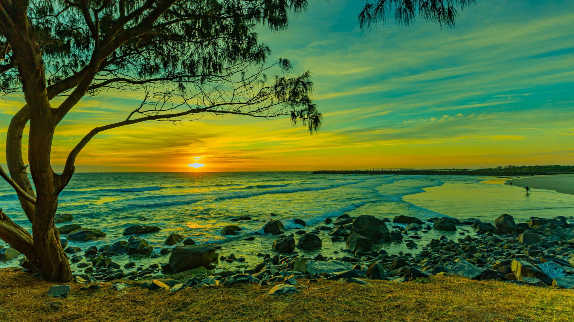 1920x1080 HD Beach 桌布 壁紙 — 一棵孤樹框住岩石海灘上波濤拍岸的鮮豔日落。