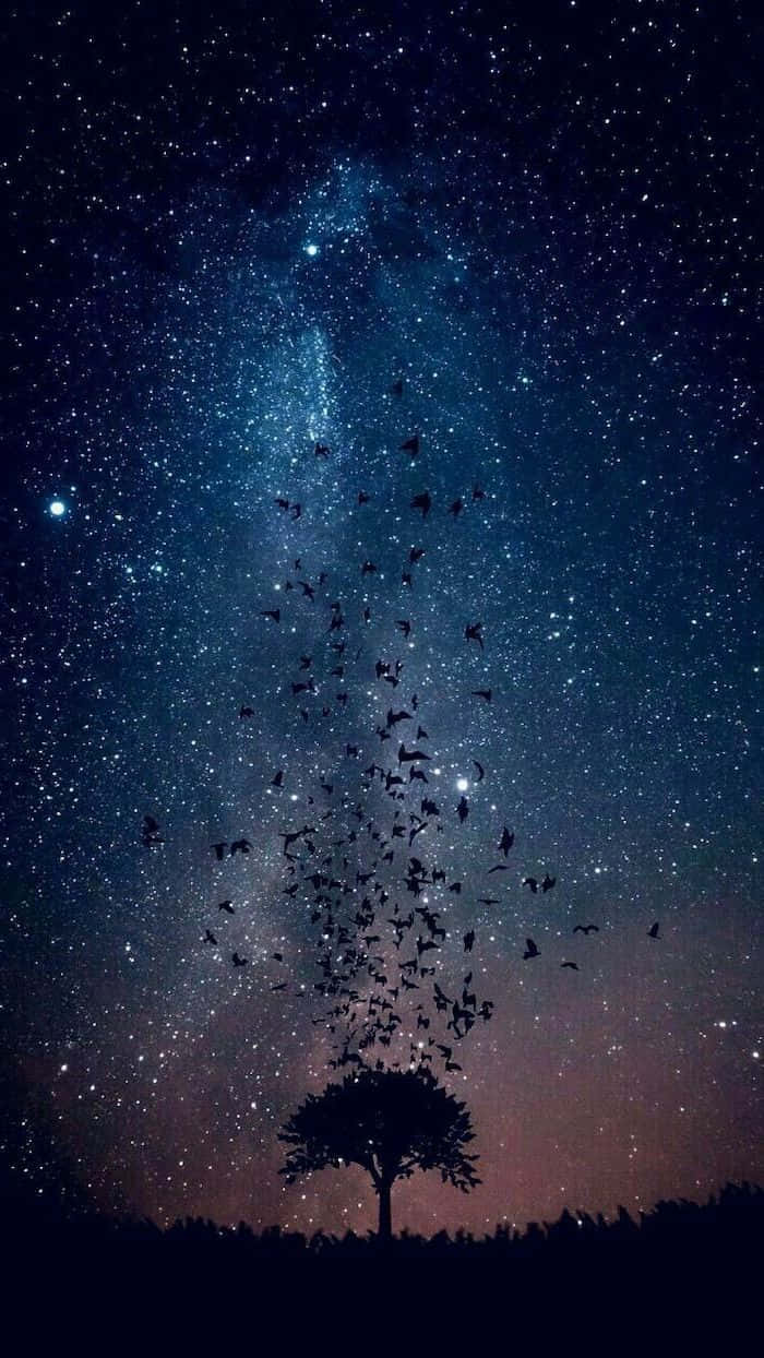 太空 桌布 壁紙 — 一棵孤樹的剪影，在繁星夜空下，鳥兒飛向銀河。