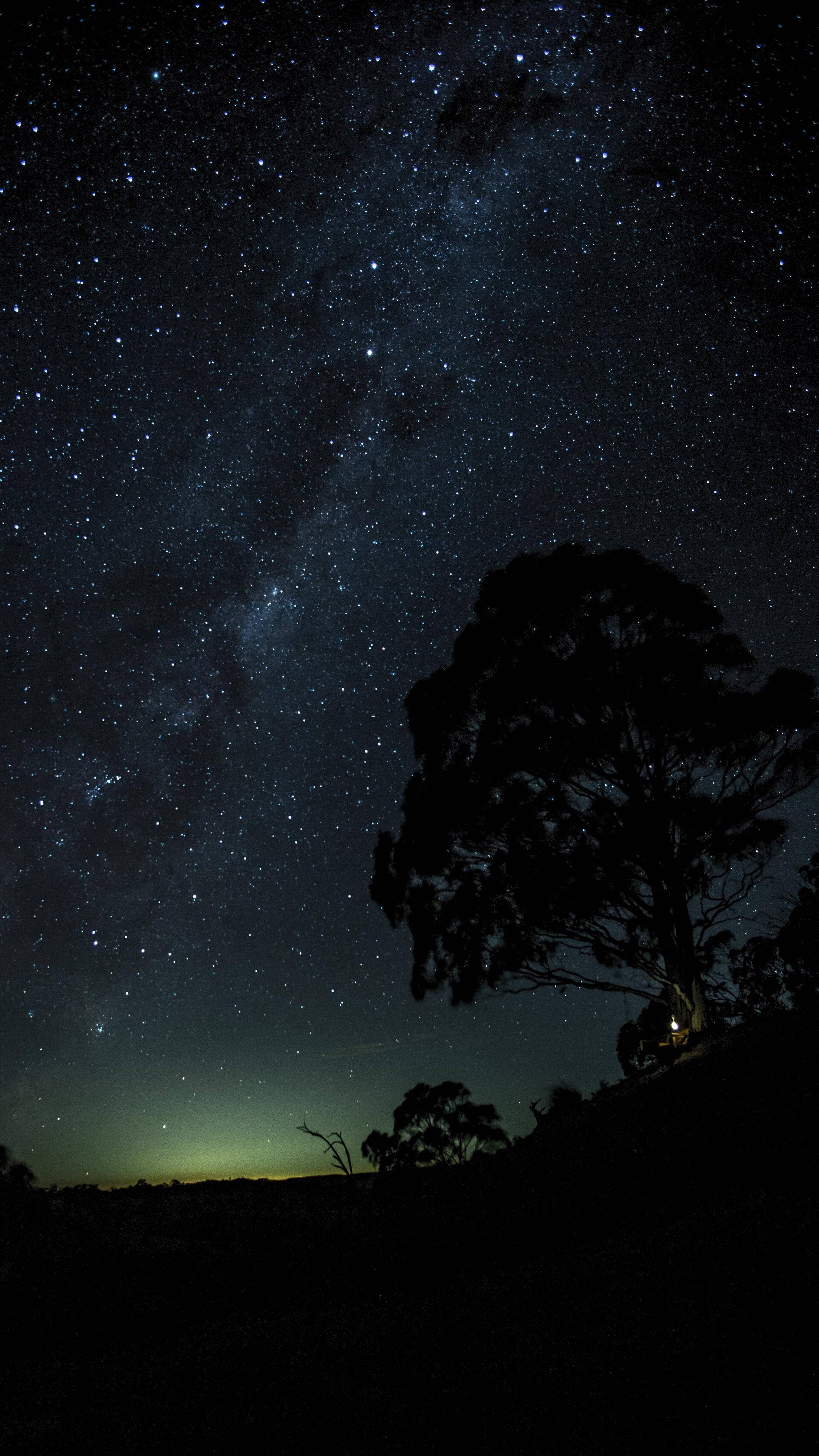 Stars 桌布 壁紙 — 一棵孤樹的剪影矗立在令人嘆為觀止的星空下，銀河在頭頂閃耀。