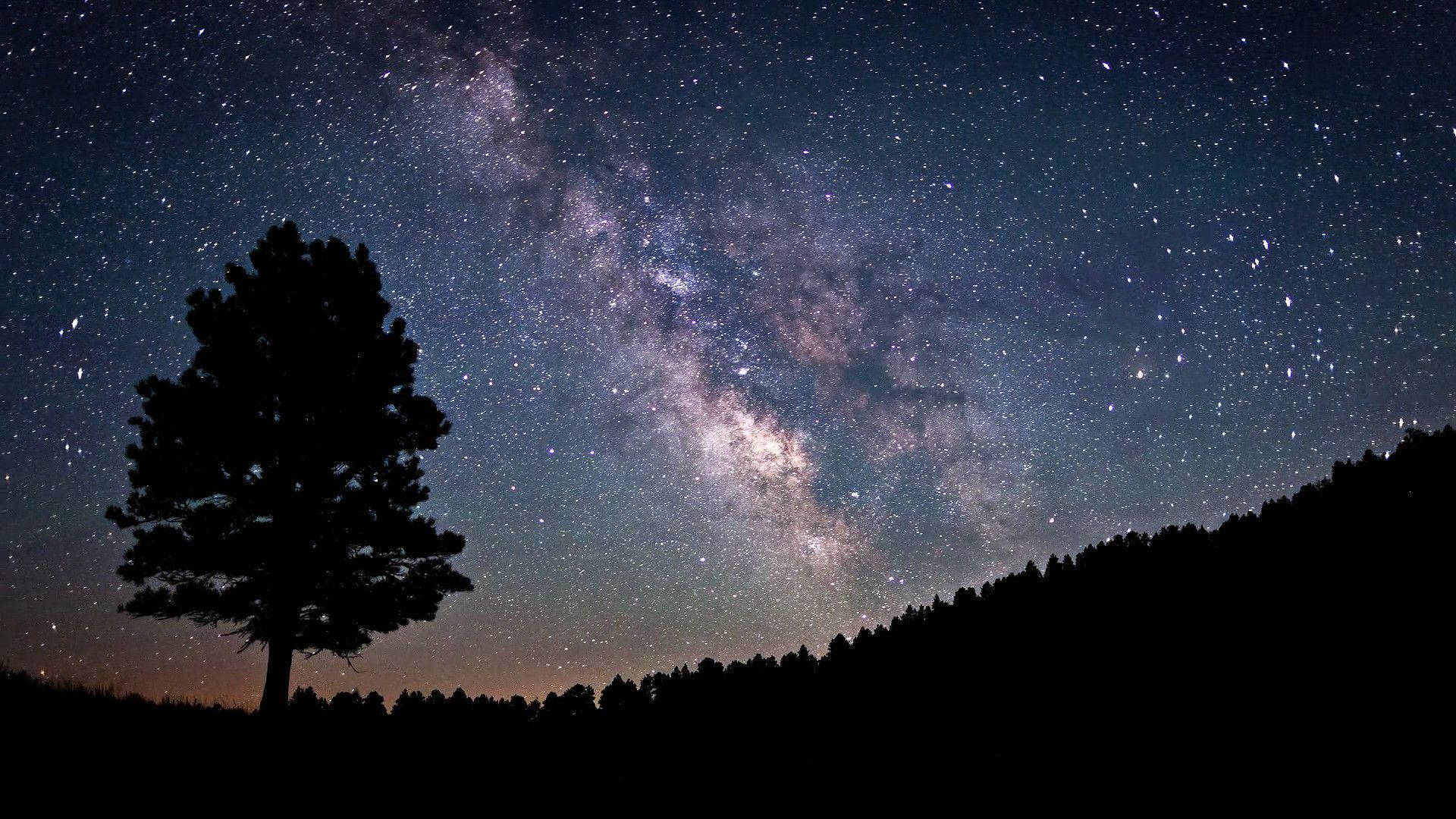 銀河 桌布 壁紙 — 一棵孤樹的剪影矗立在令人嘆為觀止的星空夜空前，銀河在天空中閃耀。