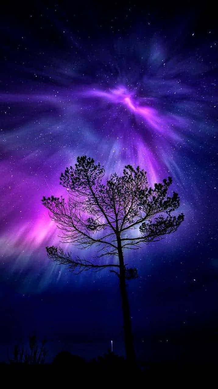 Tree 桌布 壁紙 — 一棵孤樹的剪影矗立在充滿紫色和藍色極光的夜空下，點綴著星星。