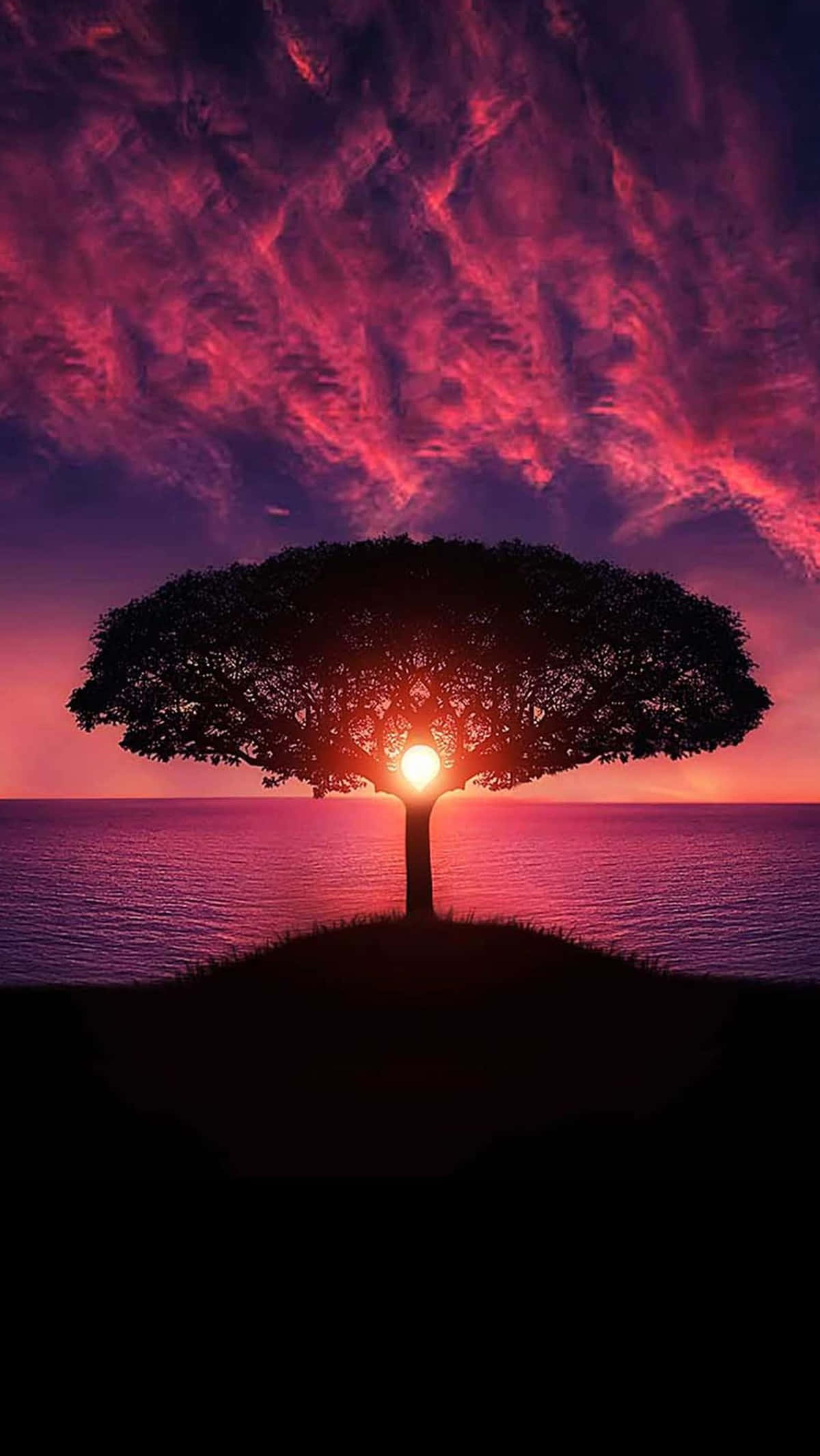Silhouette 桌布 壁紙 — 一棵孤樹的剪影矗立在懸崖上，夕陽下 vibrant 的粉紅和紫色天空映照在平靜的水面上。