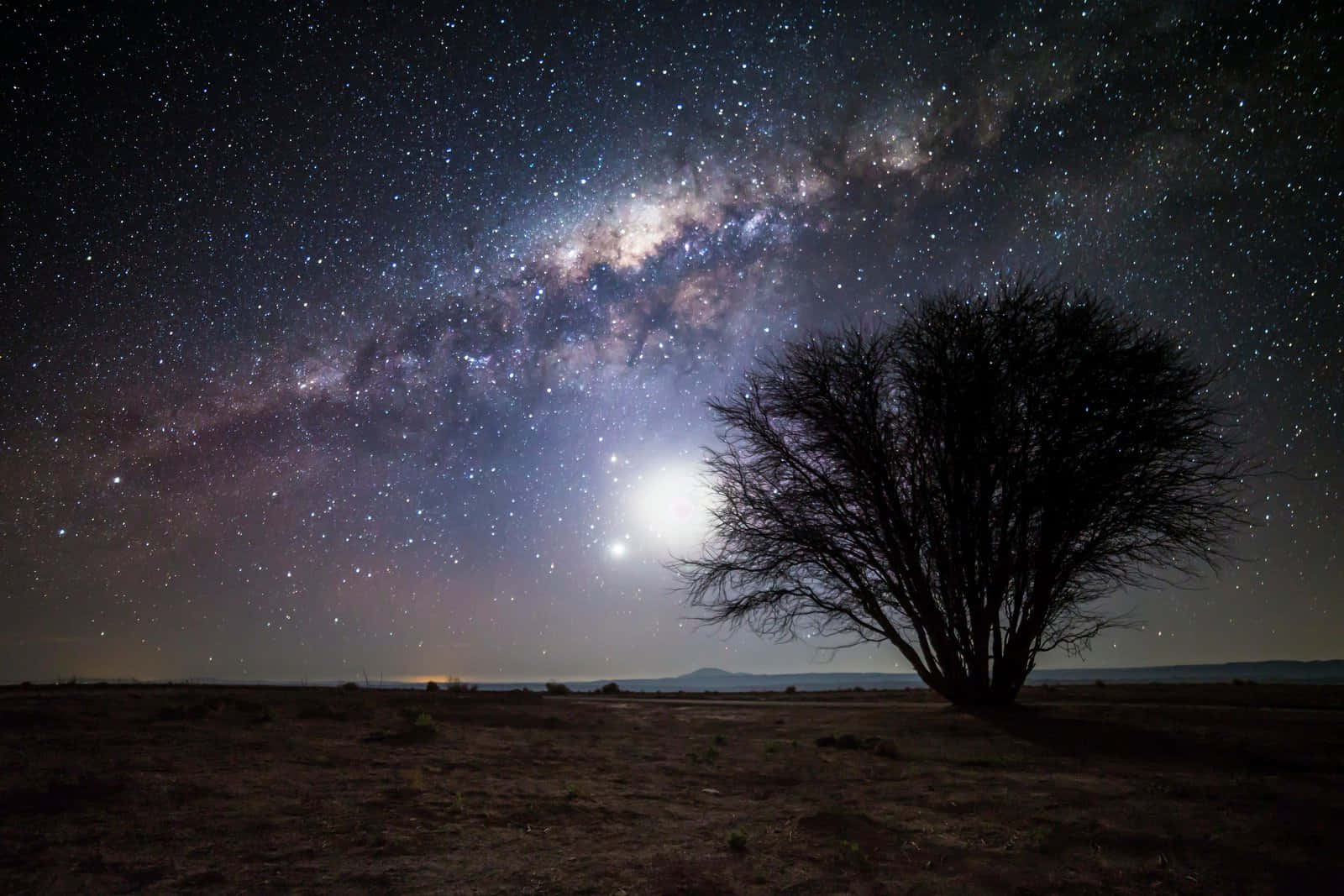 夜空 桌布 壁紙 — 一棵孤樹的剪影矗立在沙漠中，在令人嘆為觀止的星空下，有銀河和明亮的月亮。