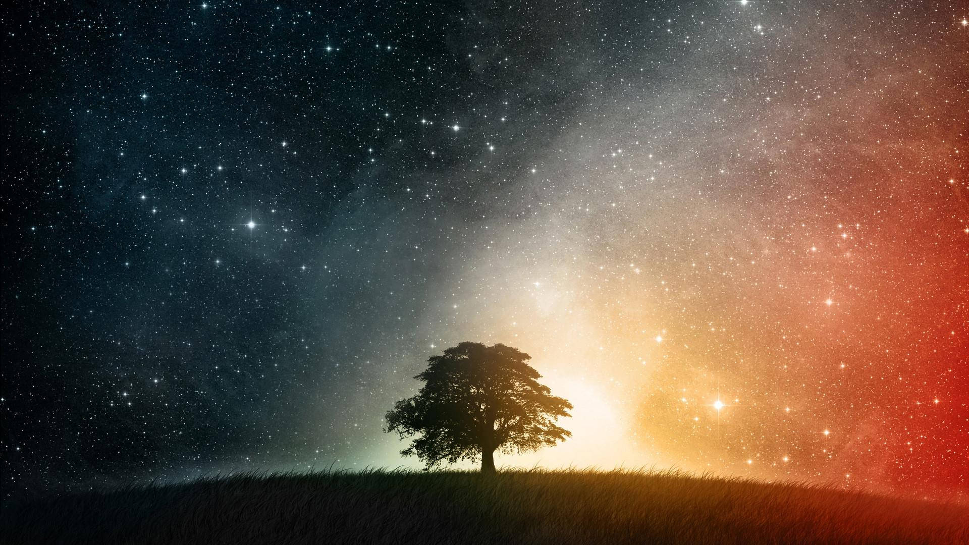 宇宙 桌布 壁紙 — 一棵孤樹的剪影矗立在長滿草的山丘上，下方是從深藍色過渡到火橙色的充滿活力的星空。