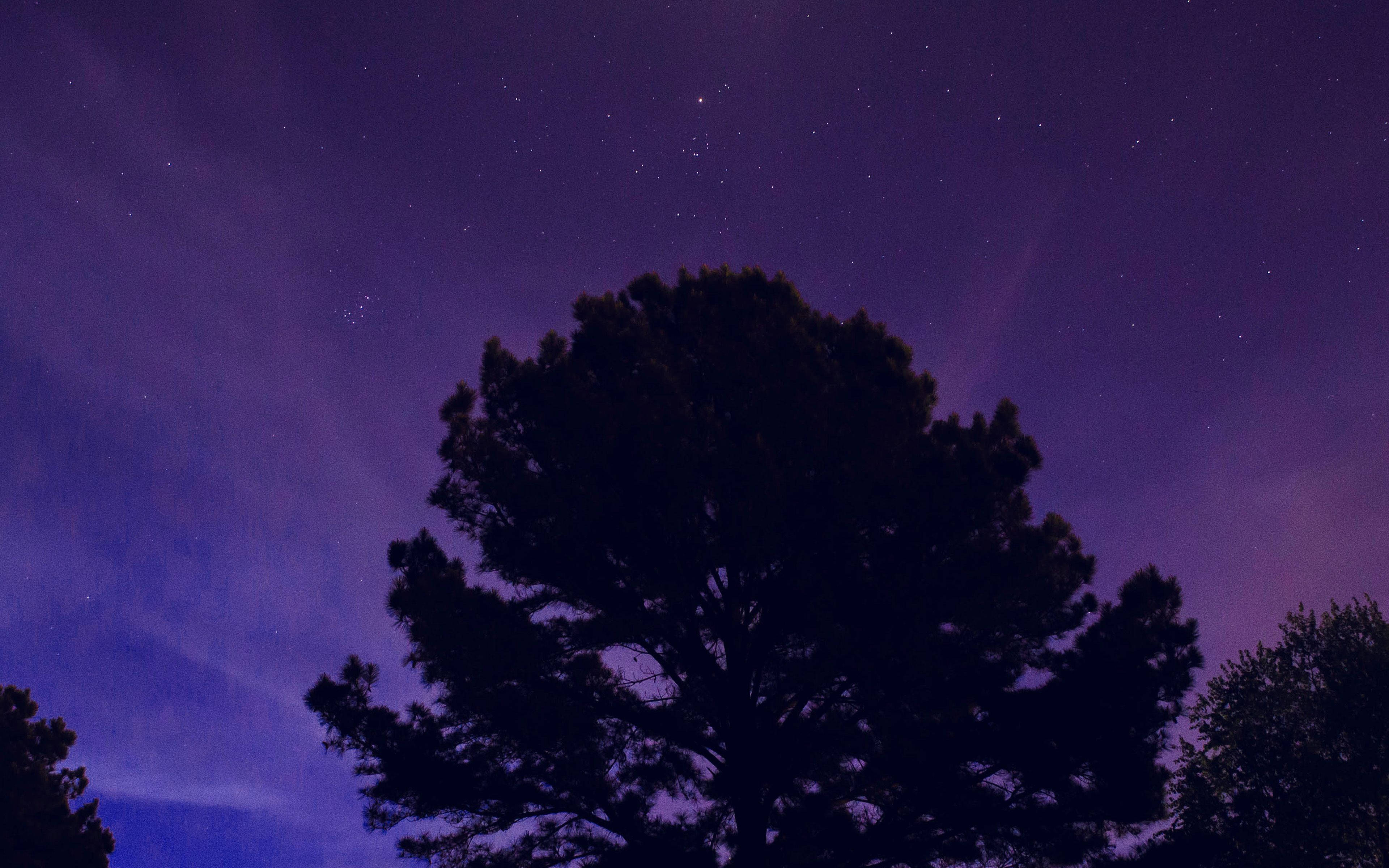 桌布 壁紙 — 一棵孤樹的剪影矗立在點綴著星星和淡淡雲彩的充滿活力的紫色夜空下。