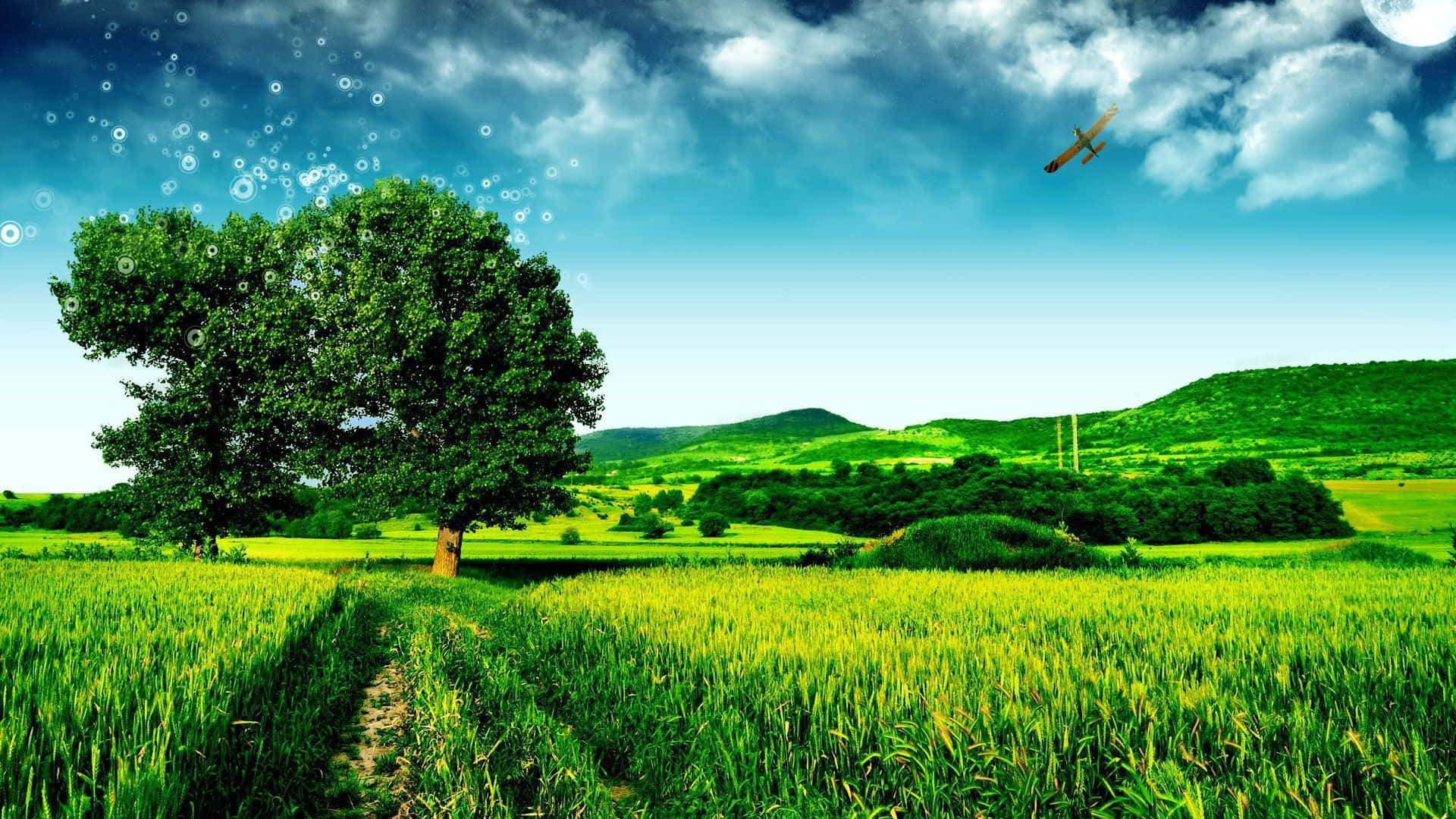 Green Landscape 桌布 壁紙 — 一棵孤樹矗立在充滿活力的綠色田野中，上方是明亮的藍天，有蓬鬆的雲朵和一架小型飛機飛過。