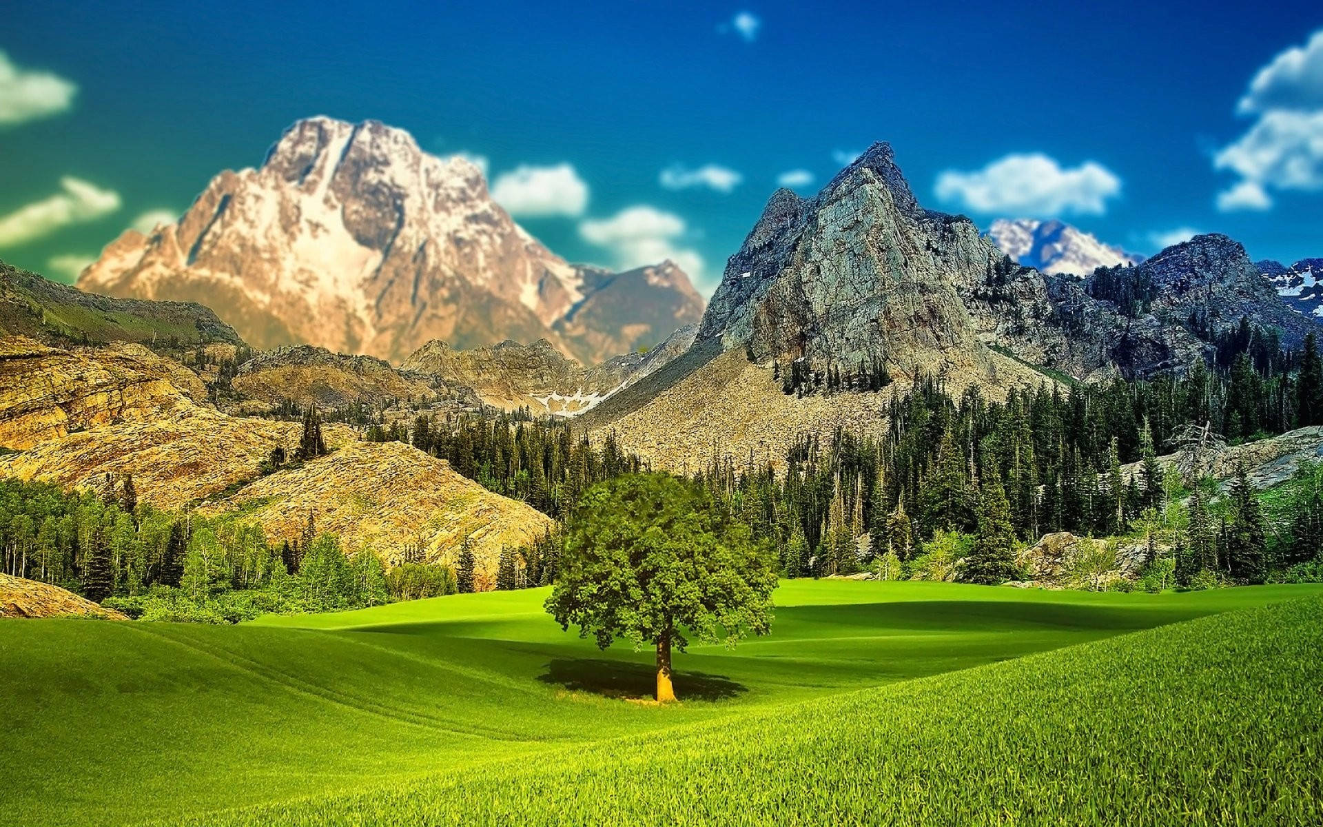 Grass 桌布 壁紙 — 一棵孤樹矗立在充滿活力的綠色草地上，背景是白雪覆蓋的山脈和松樹林，上方是明亮的藍天。