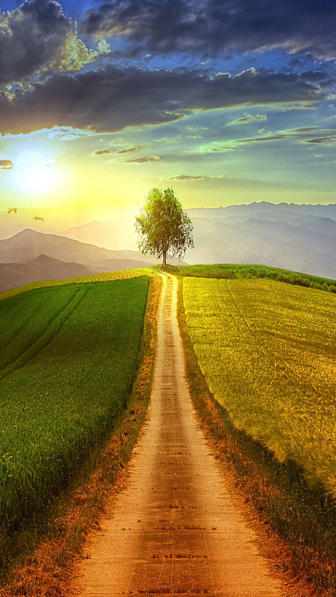 Country Road 桌布 壁紙 — 一棵孤樹矗立在山丘頂上，一條泥土小徑在戲劇性的日落天空下蜿蜒通向它。