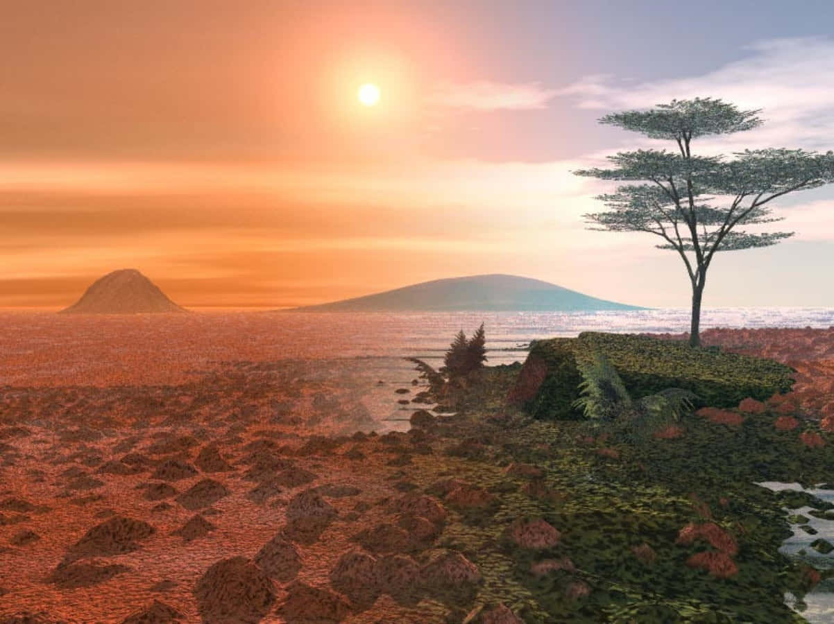 Terraforming 桌布 壁紙 — 一棵孤樹矗立在岩石海岸上，夕陽西下，遠山和發光的太陽在水面上投射出溫暖的橙色光芒。