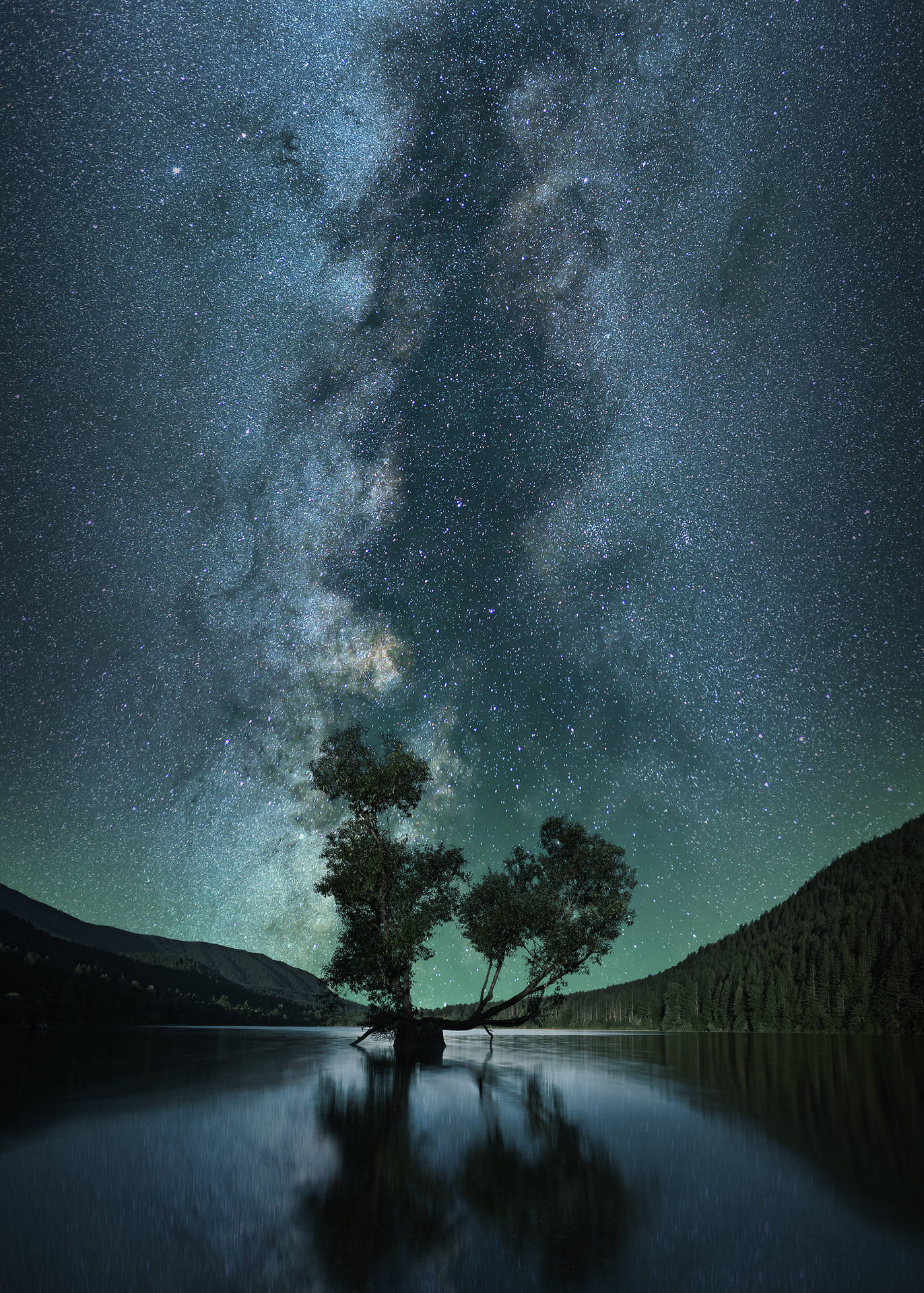 一棵孤樹倒映在水中，下方是滿天星斗的夜空，銀河可見。 — 絕命異次元 GIF 壁紙