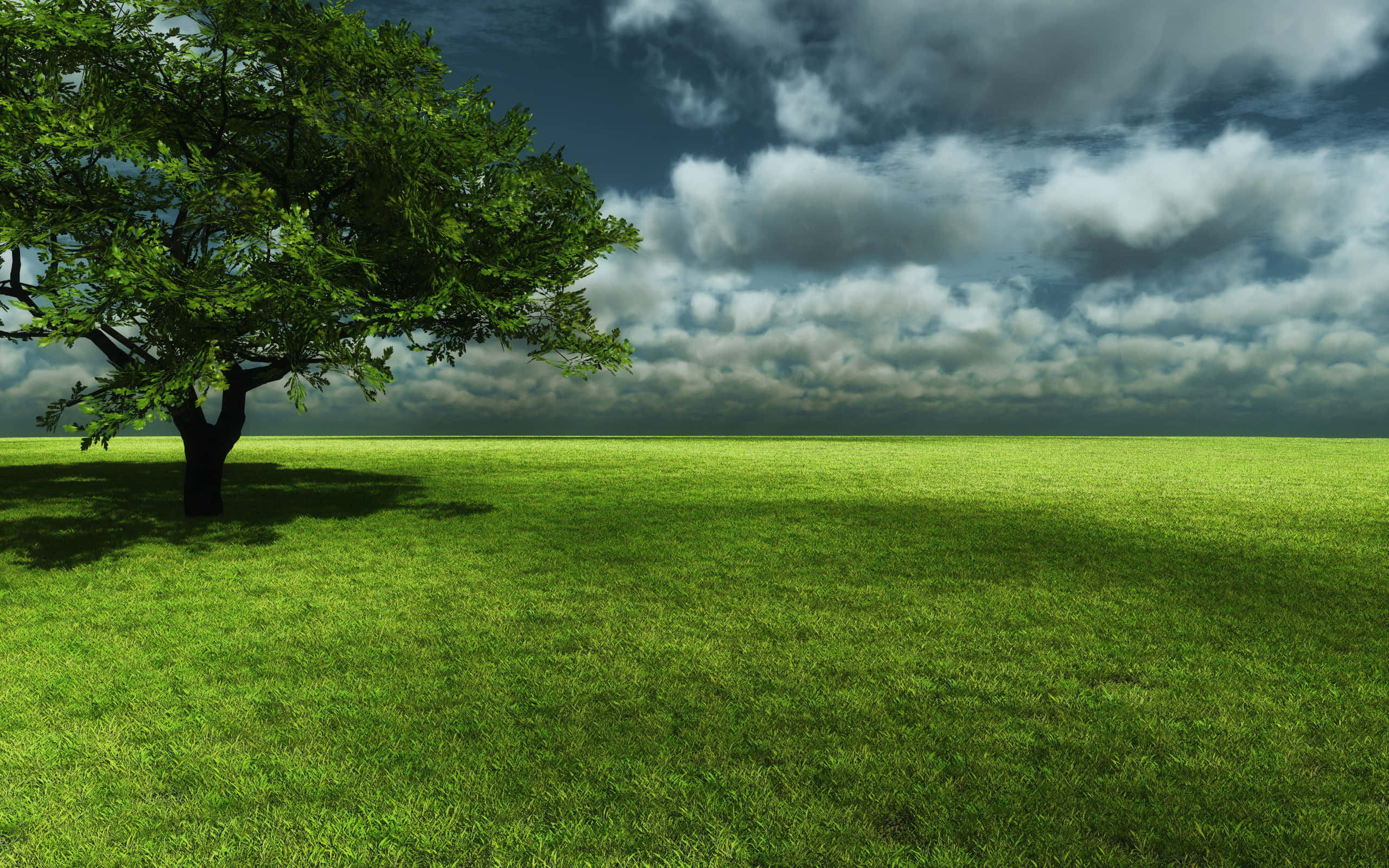 Green Landscape 桌布 壁紙 — 一棵孤樹矗立在廣闊的綠色田野中，上方是戲劇性的多雲天空。