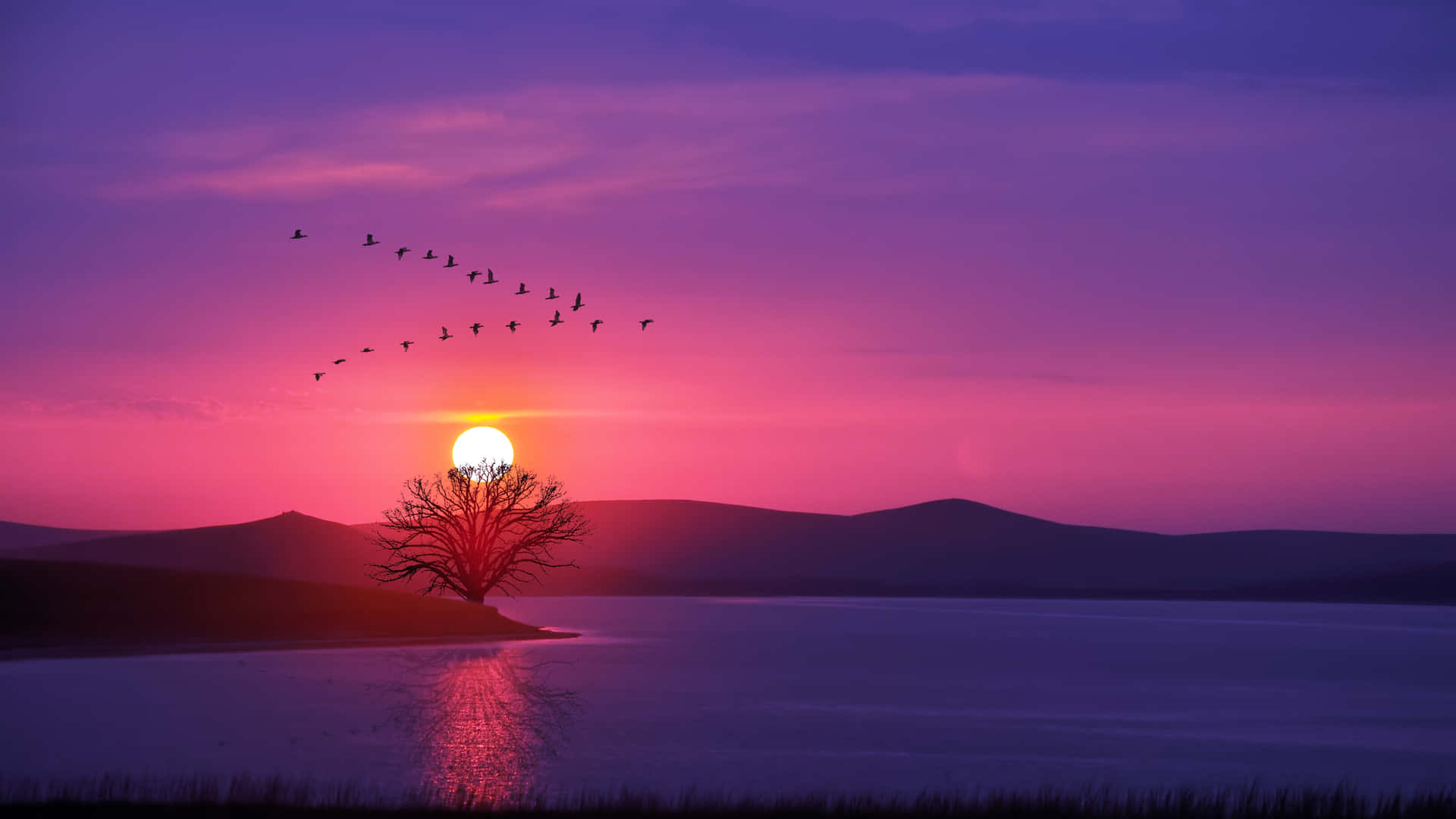 Sunset Over Lake with Tree Silhouette 壁紙 — 一棵孤樹矗立在湖岸邊，夕陽西下，鳥兒成群結隊飛過充滿活力的紫色和粉紅色天空。