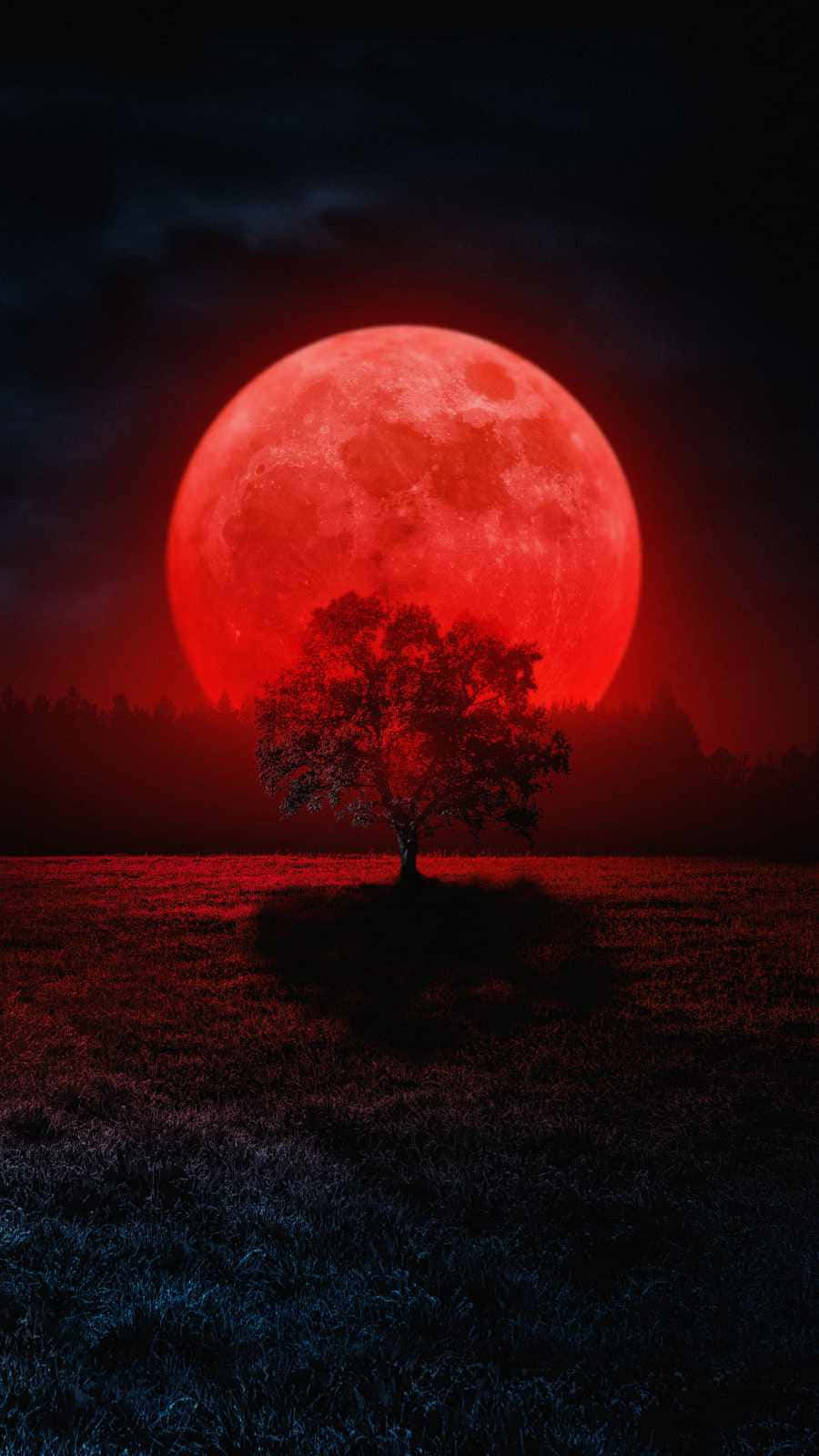 Tree Silhouette 桌布 壁紙 — 一棵孤樹矗立在田野中，上方是一輪巨大的發光紅月，向大地投射出詭異的紅光。