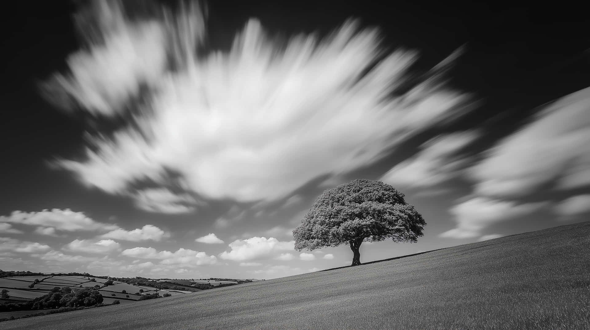 Solitary tree on a hillside under a sky with streaking clouds 壁紙 — 一棵孤樹矗立在長滿草的山丘上，天空戲劇性地佈滿條紋雲，以黑白長曝光攝影捕捉。