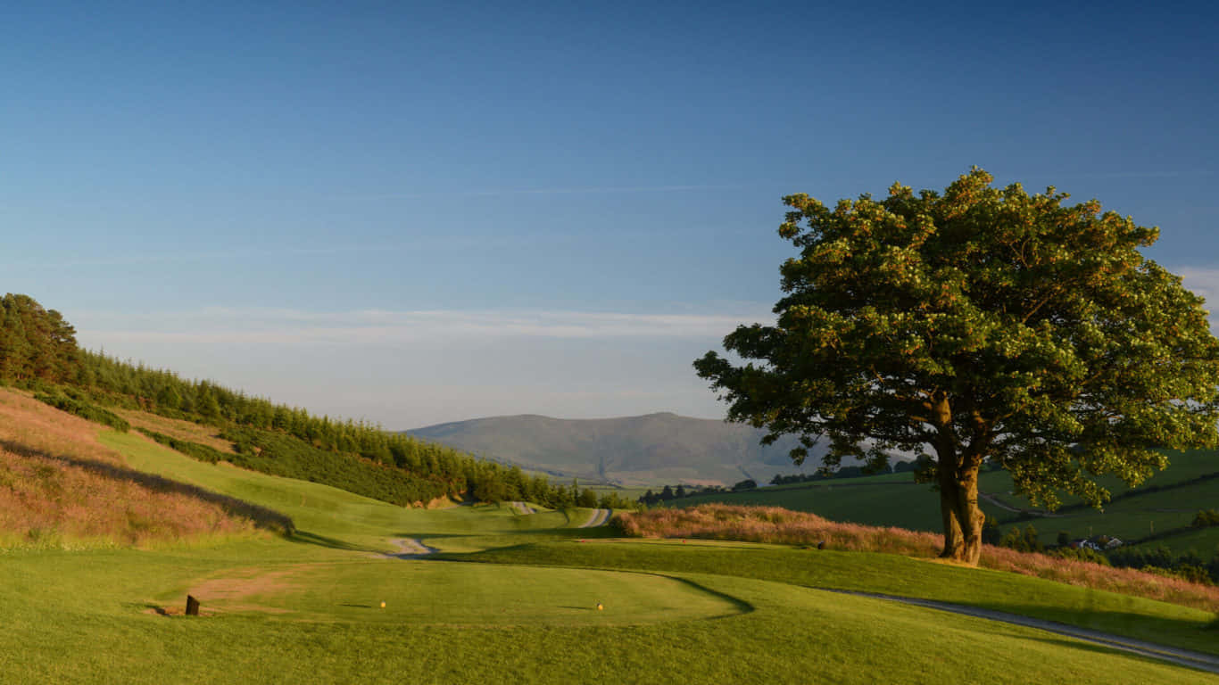 1366x768 Golf Course 桌布 壁紙 — 一棵孤樹矗立在陽光明媚的高爾夫球場上，周圍是連綿起伏的綠色山丘和遠處的山脈，天空清澈湛藍。