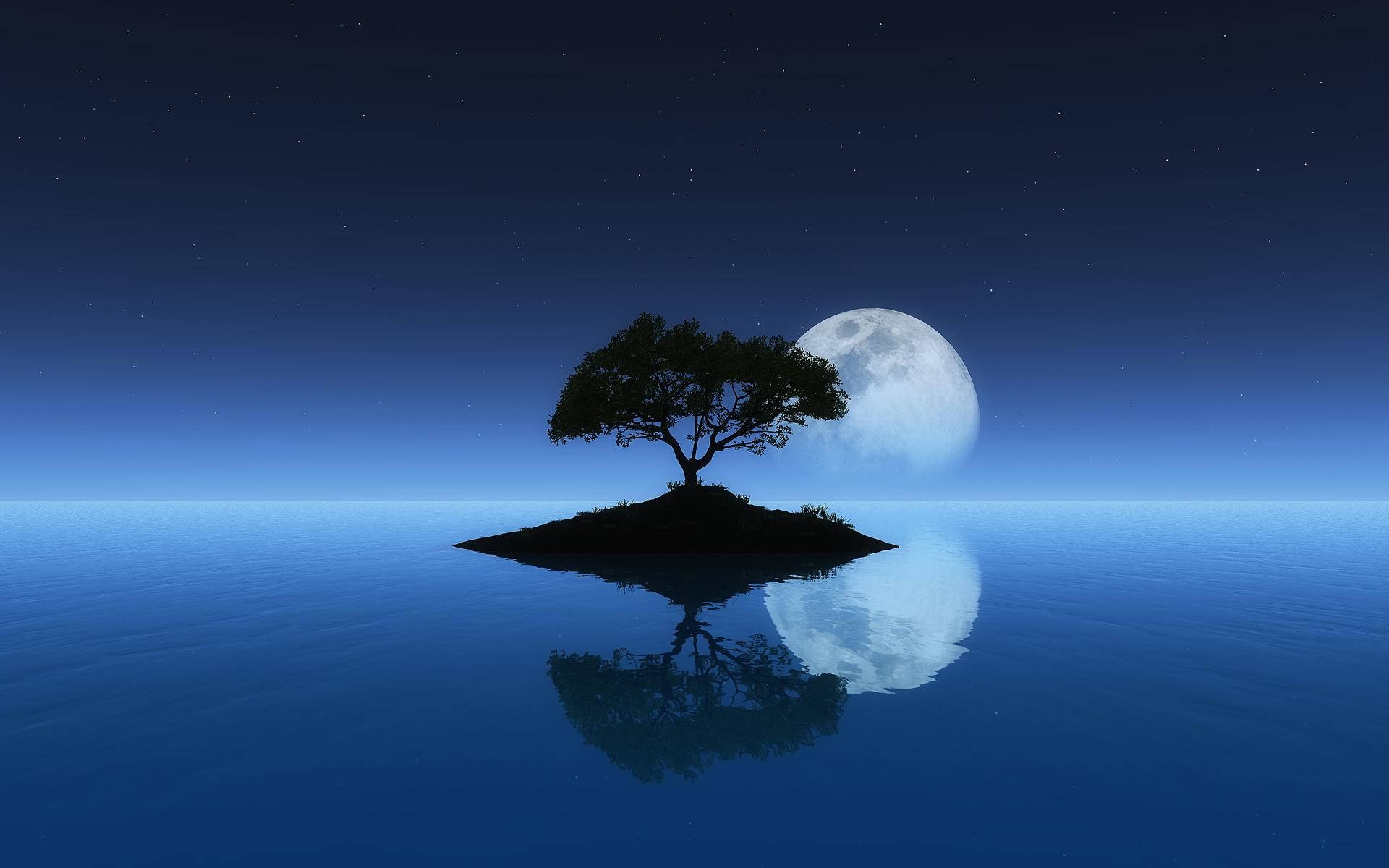 Calming 桌布 壁紙 — 一棵孤樹立於小島上，滿月完美倒映在平靜的藍色水面，星空夜幕下。