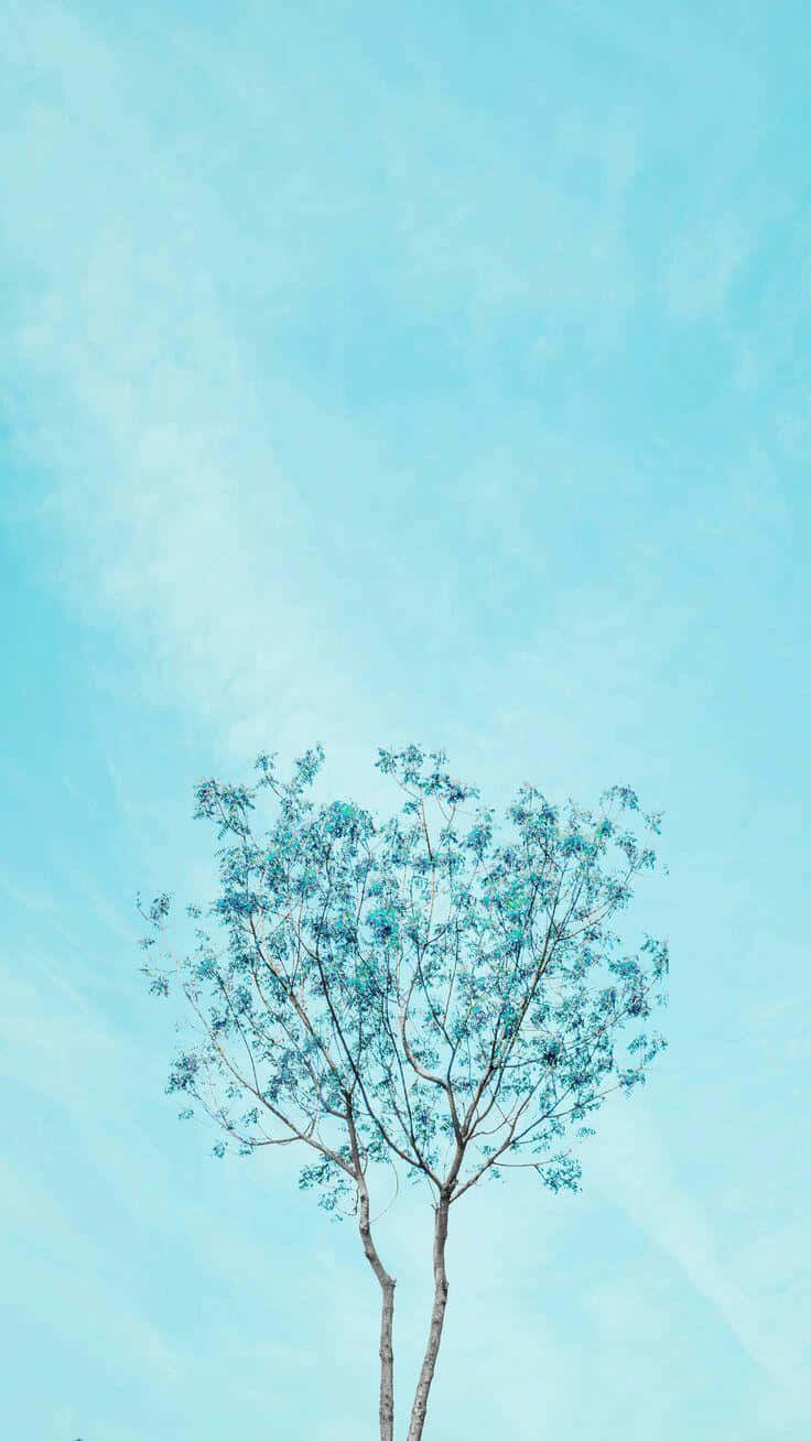 Aesthetic Blue 桌布 壁紙 — 一棵孤樹長著稀疏的藍綠色葉子，矗立在廣闊的淡藍色天空下，天空中有柔軟的縷縷雲彩。