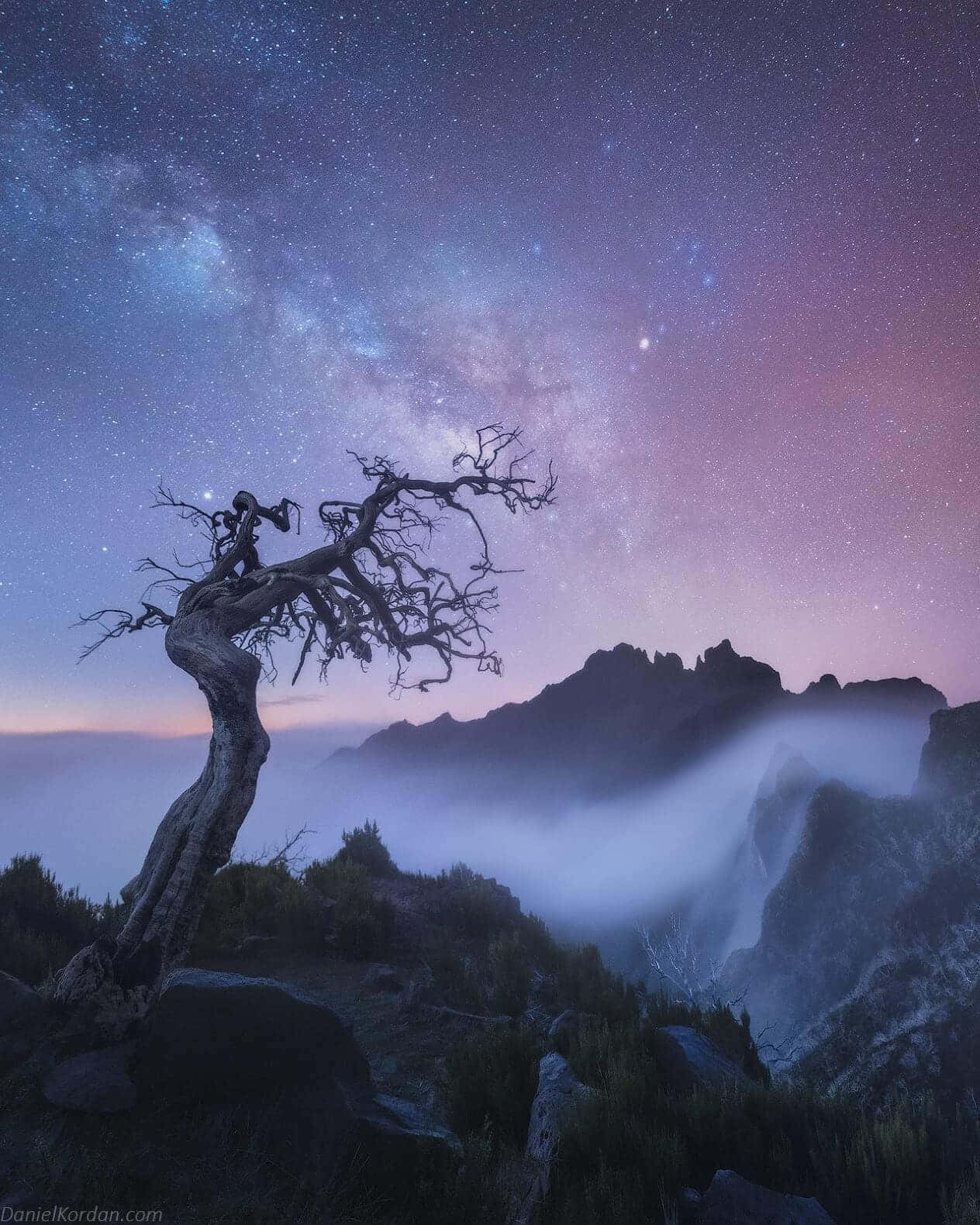 Best 桌布 壁紙 — 一棵孤獨扭曲的樹在燦爛星空下形成剪影，銀河在霧氣繚繞的山巒上空彎曲。