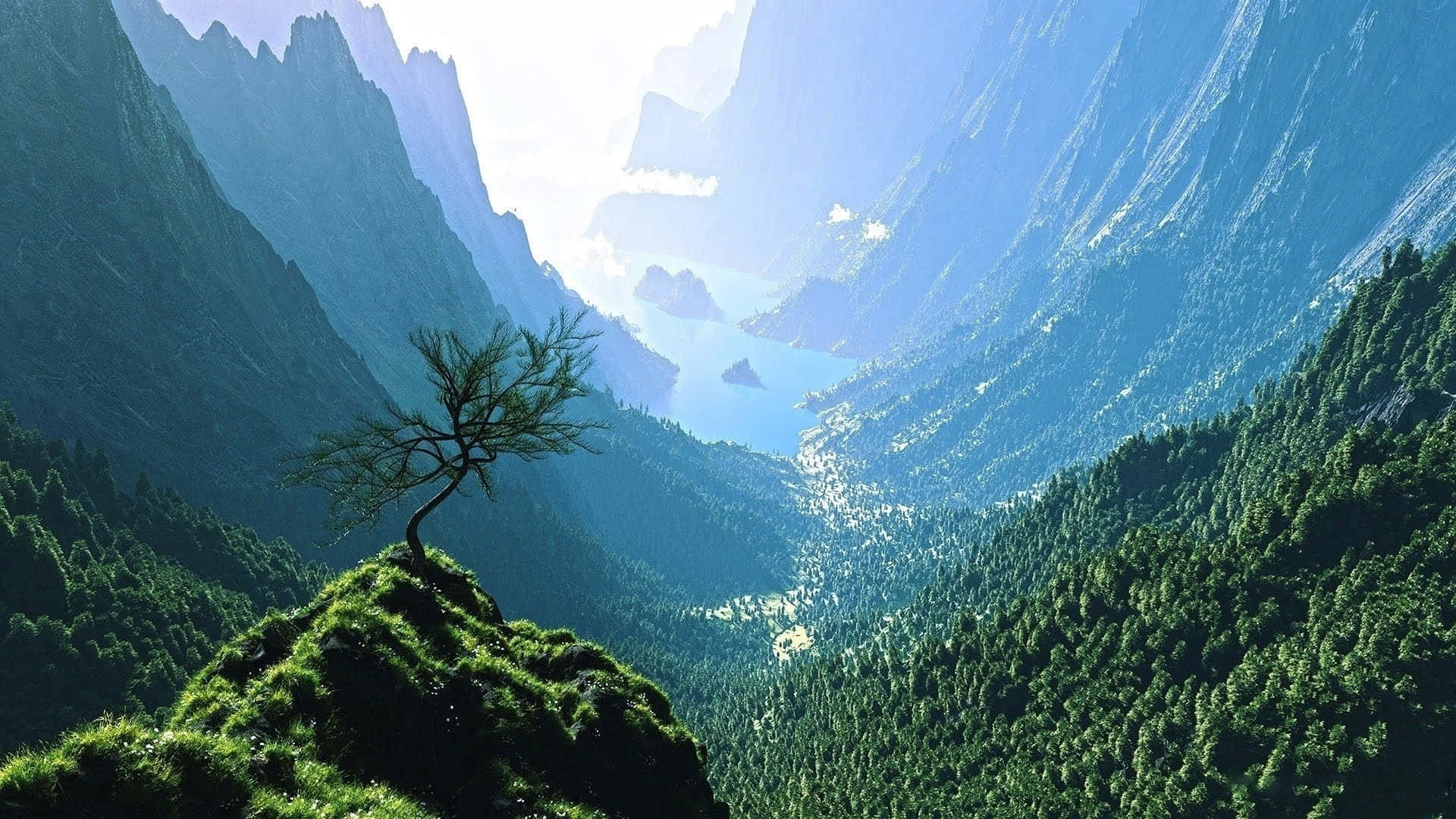 Relaxing 桌布 壁紙 — 一棵孤獨扭曲的樹矗立在長滿青草的懸崖上，俯瞰著深谷，谷中有蜿蜒的河流和巍峨的山脈，沐浴在柔和的晨光中。