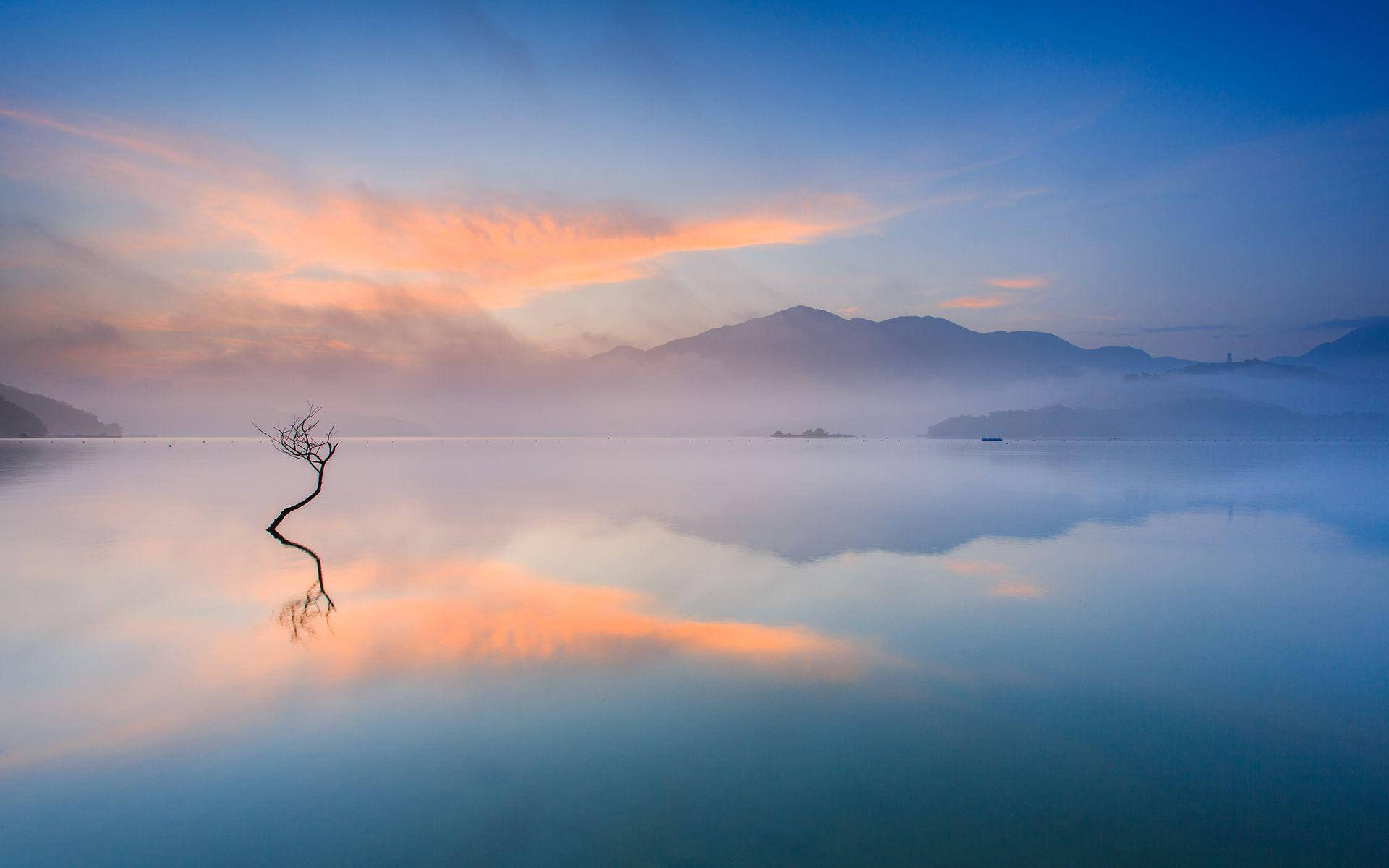 Lake 桌布 壁紙 — 一棵孤獨扭曲的樹立在平靜的水面上，倒映著霧氣繚繞的山巒上空柔和色調的日出天空。
