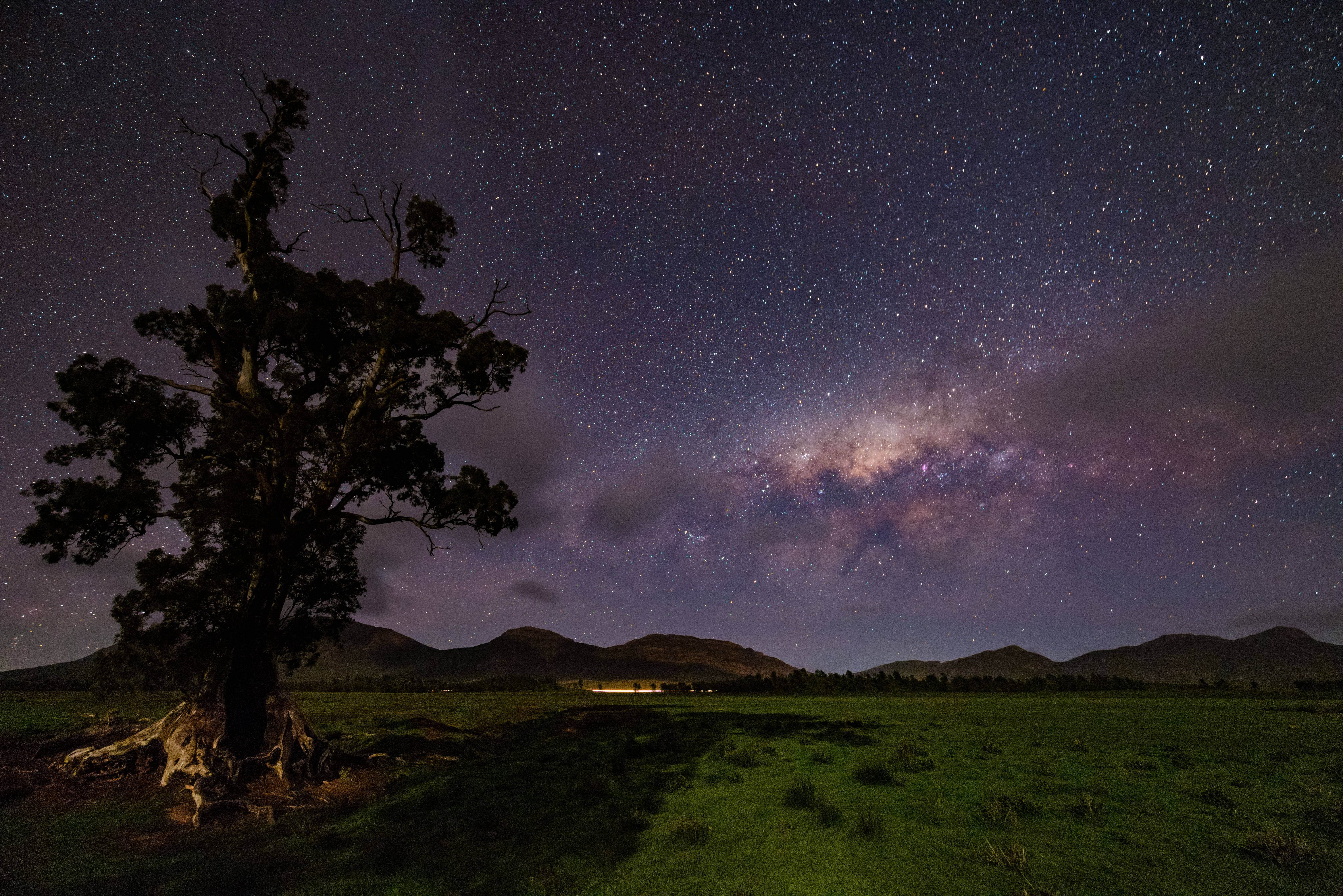 星空動畫 桌布 壁紙 — 一棵孤獨的古樹矗立在草地上，星空下銀河在遠山之上閃耀。