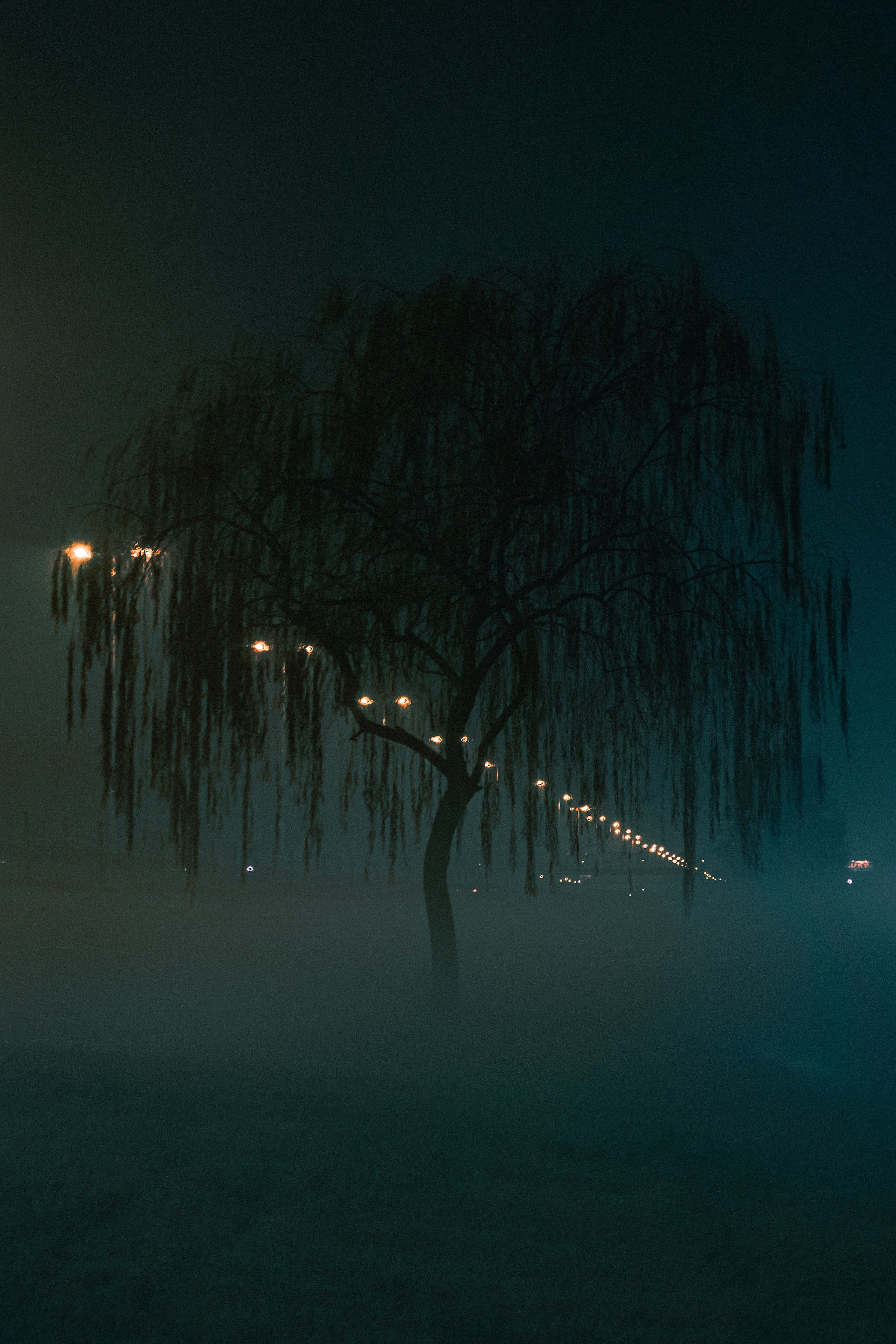 Mysterious 桌布 壁紙 — 一棵孤獨的垂柳在夜燈下，在霧氣中形成剪影，散發出憂鬱的藍綠色光芒。