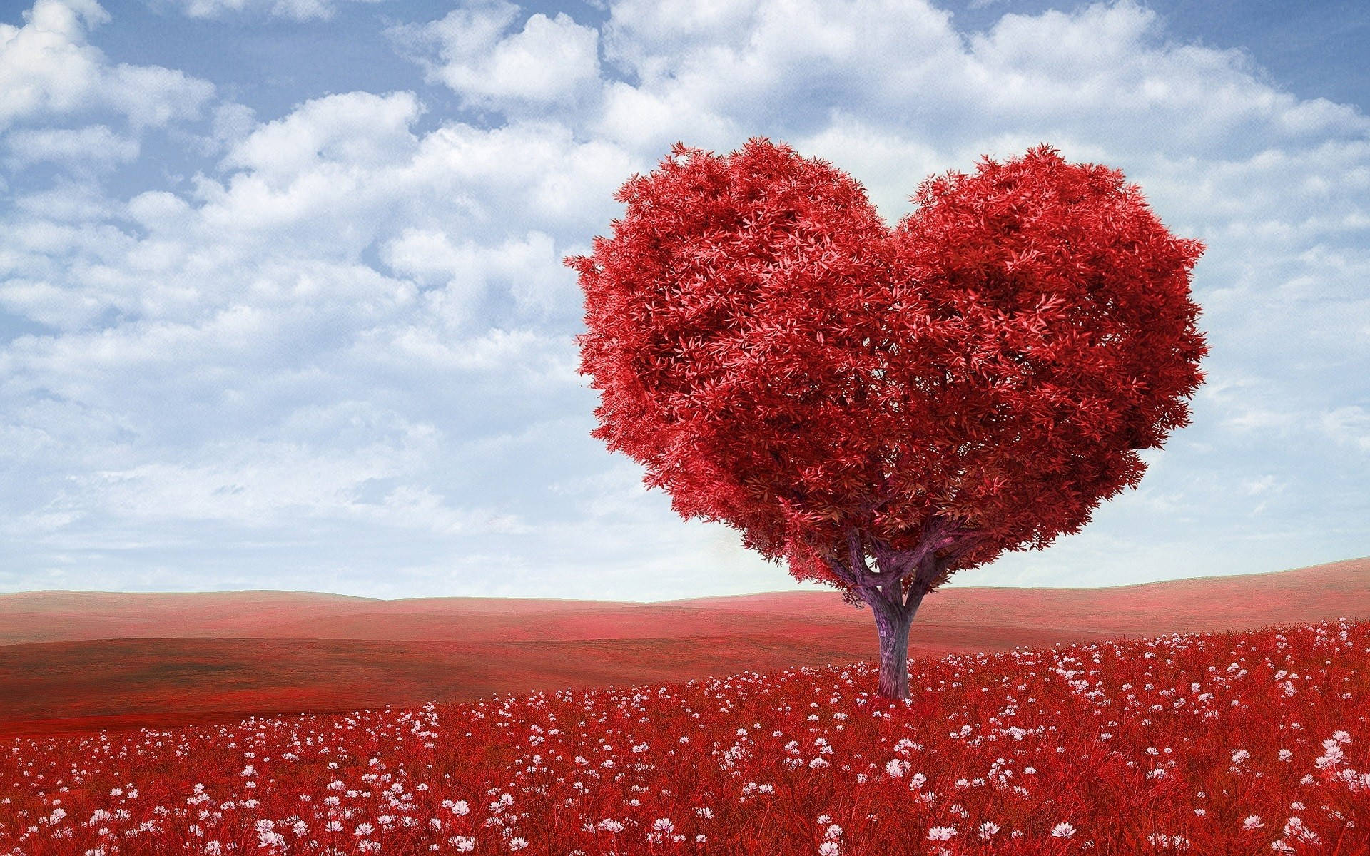 Nature Love 桌布 壁紙 — 一棵孤獨的心形樹，帶有鮮紅色的葉子，站在一片點綴著白色花朵的紅色草地上，天空多雲而藍色。