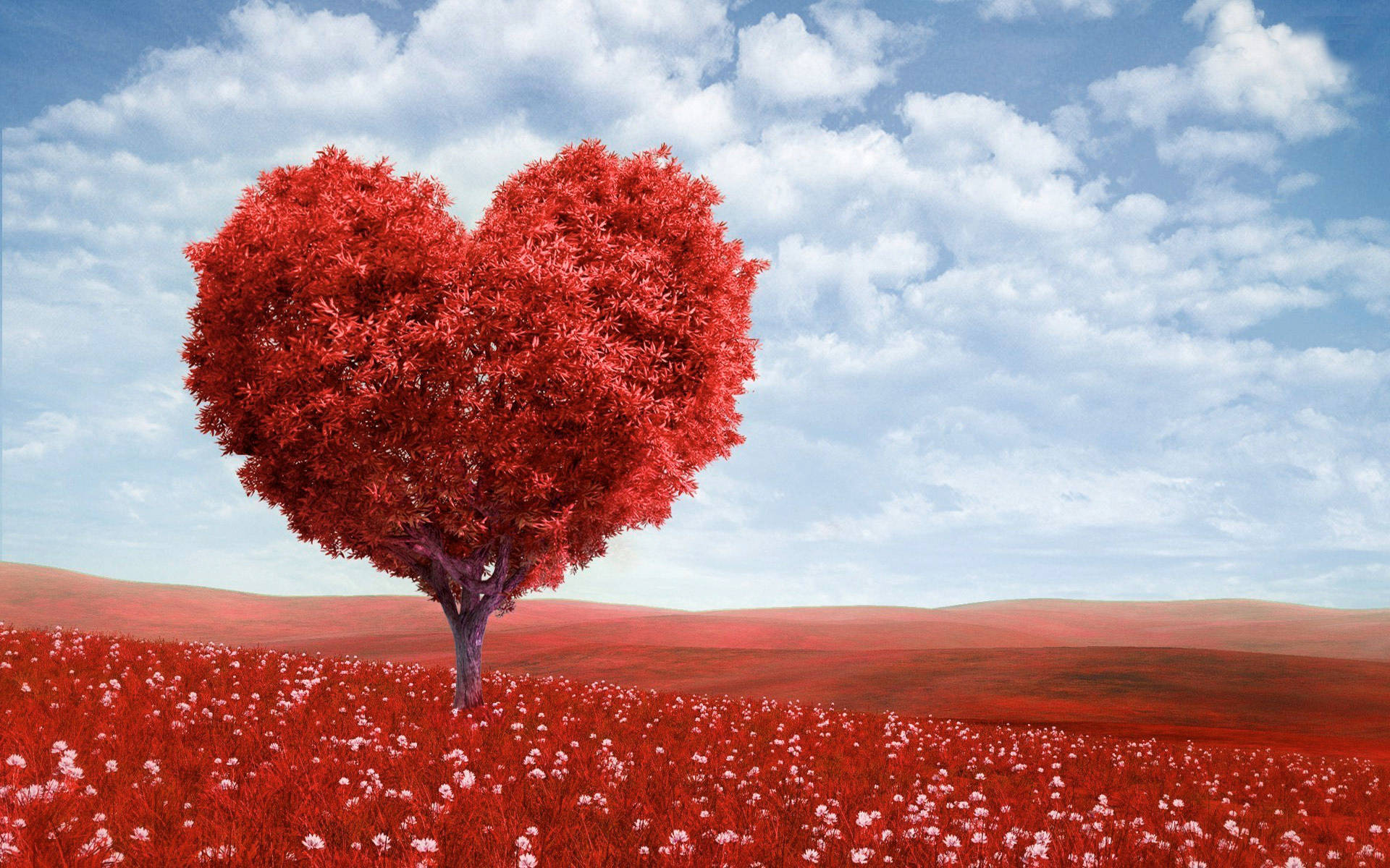 Valentines 桌布 壁紙 — 一棵孤獨的心形樹，有著鮮紅色的葉子，站在一片點綴著白色花朵的紅色草地上，上方是藍天和白雲。