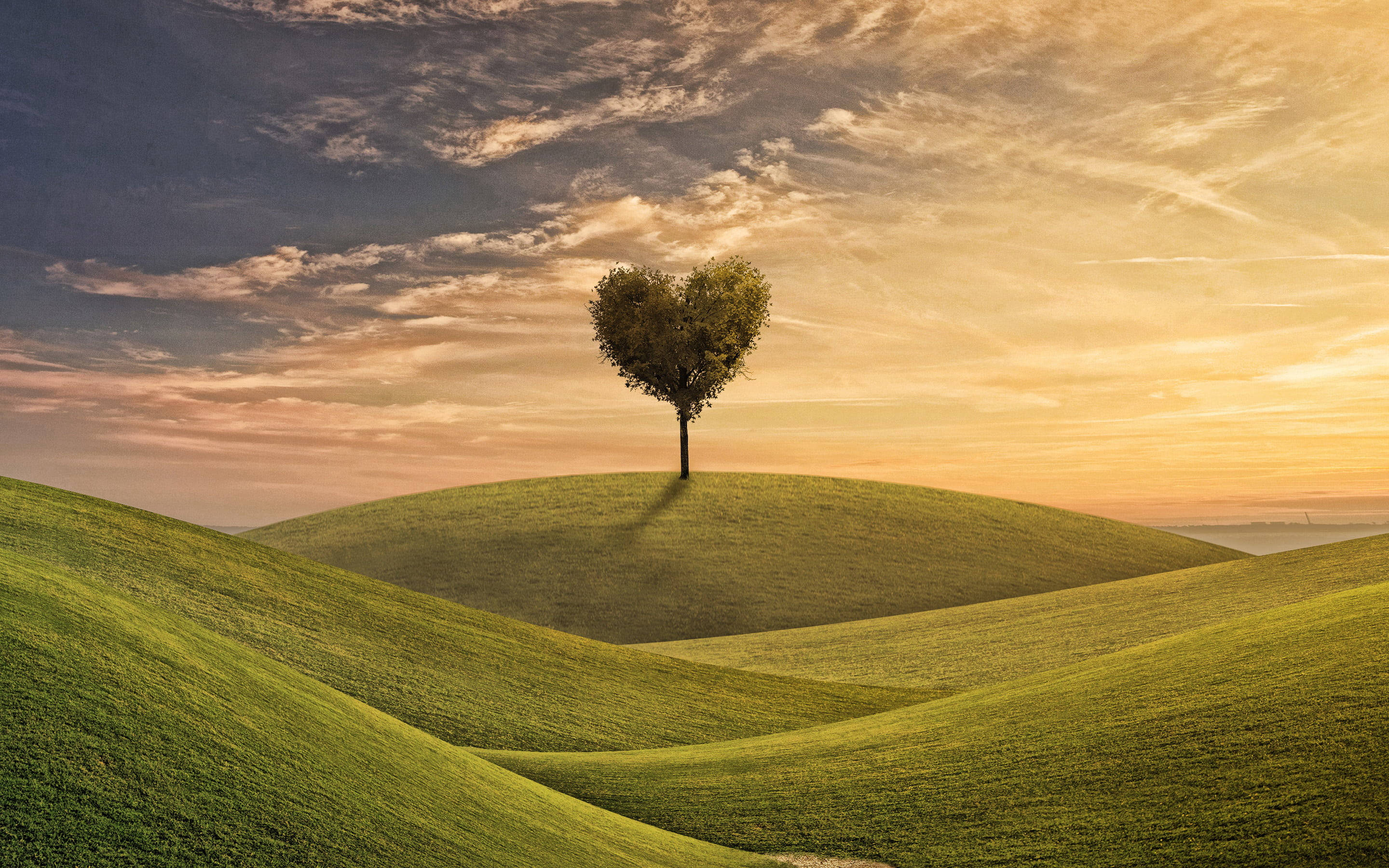Love Nature 桌布 壁紙 — 一棵孤獨的心形樹矗立在起伏的綠色山丘上，背景是帶有條紋雲彩的戲劇性日落天空。