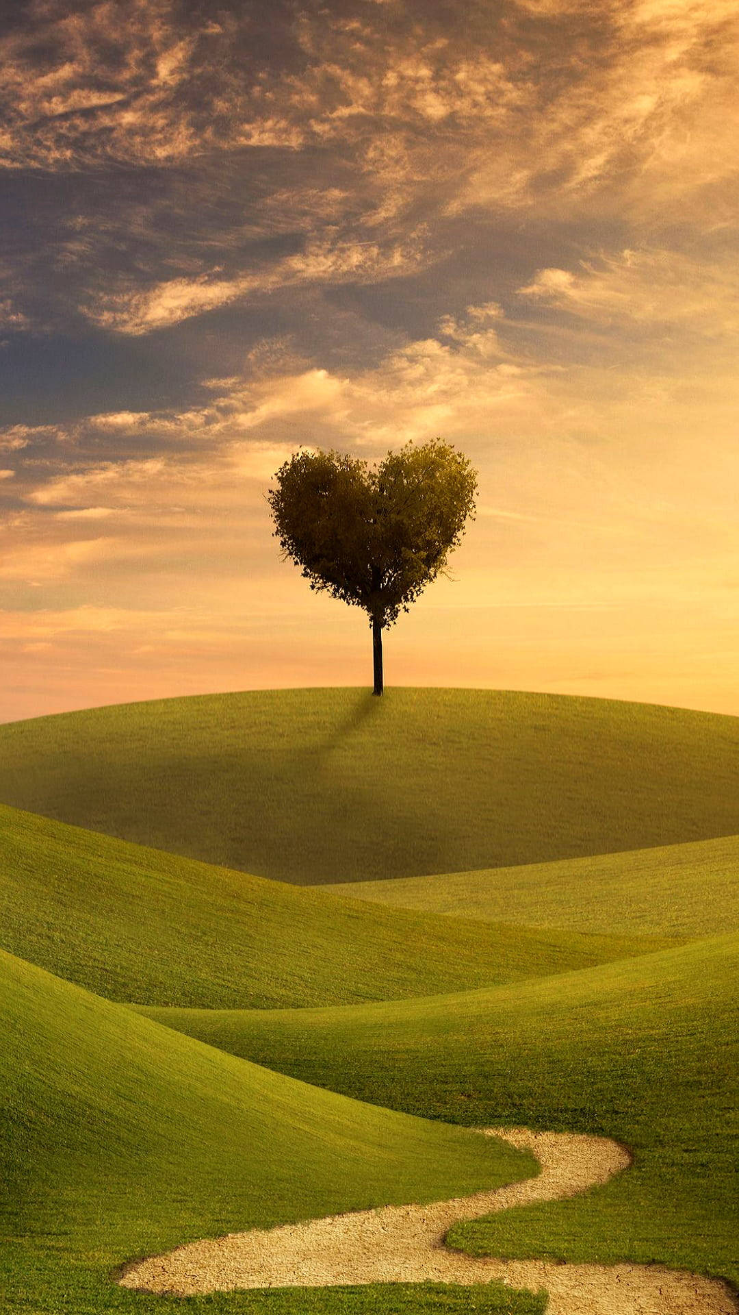 Love Nature 桌布 壁紙 — 一棵孤獨的心形樹矗立在長滿草的山丘上，下方是金色的日落天空，有一條蜿蜒的小路。