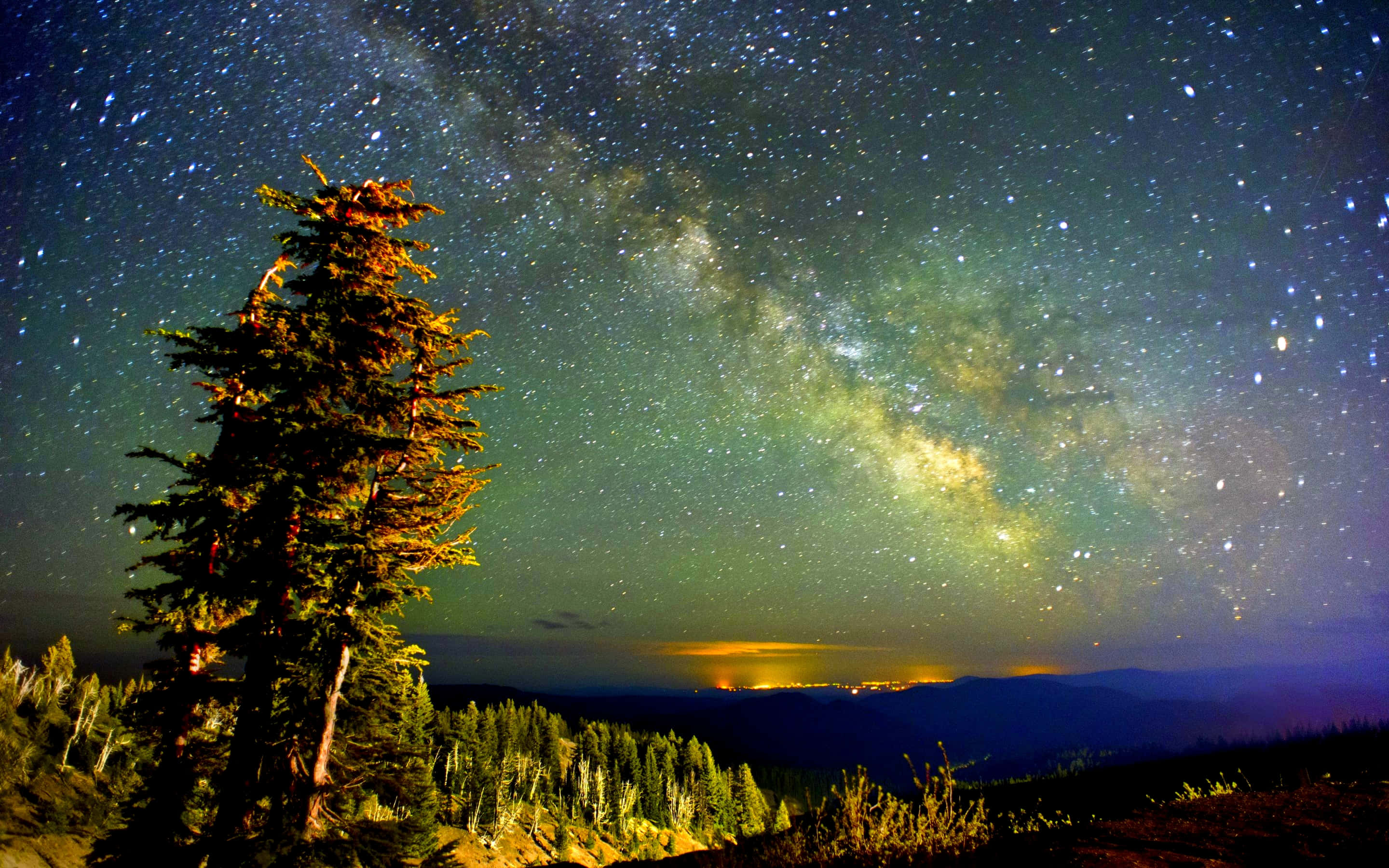 Starry Sky 桌布 壁紙 — 一棵孤獨的松樹在充滿活力的星空下形成剪影，銀河在遠山上方拱起。