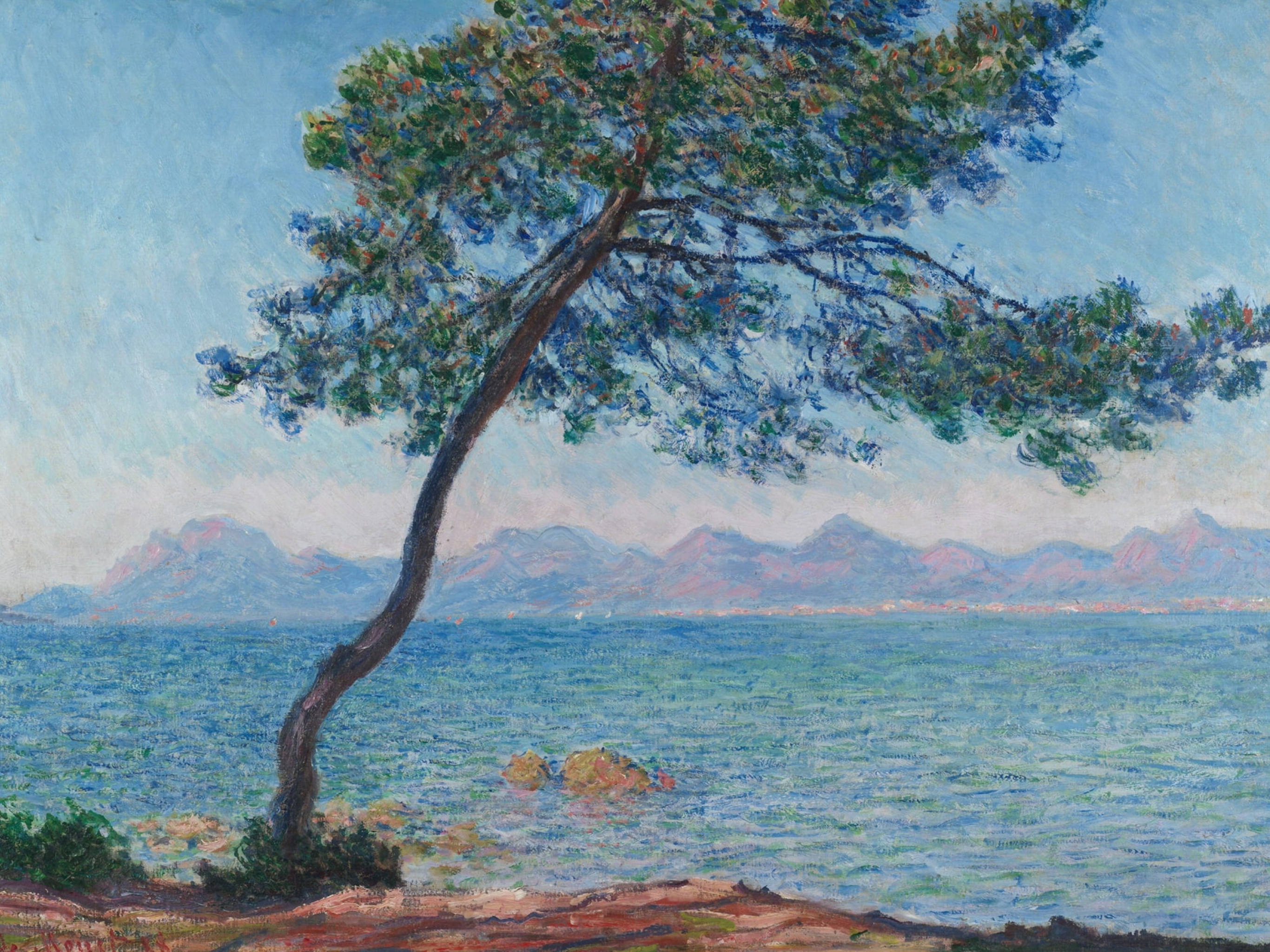 Monet 桌布 壁紙 — 一棵孤獨的松樹在柔和天空下，向著平靜的藍色大海傾斜，遠方有山巒。