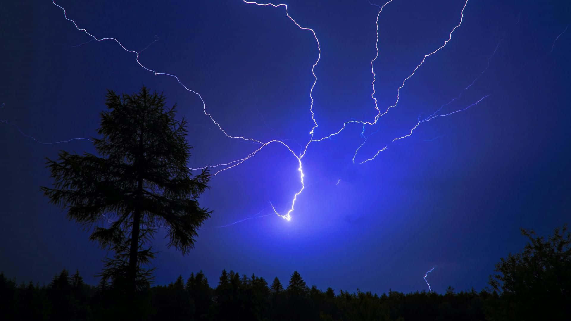 thunder 桌布 壁紙 — 一棵孤獨的松樹在深藍色天空的襯托下形成剪影，鋸齒狀的閃電照亮了暴風雨的夜晚。