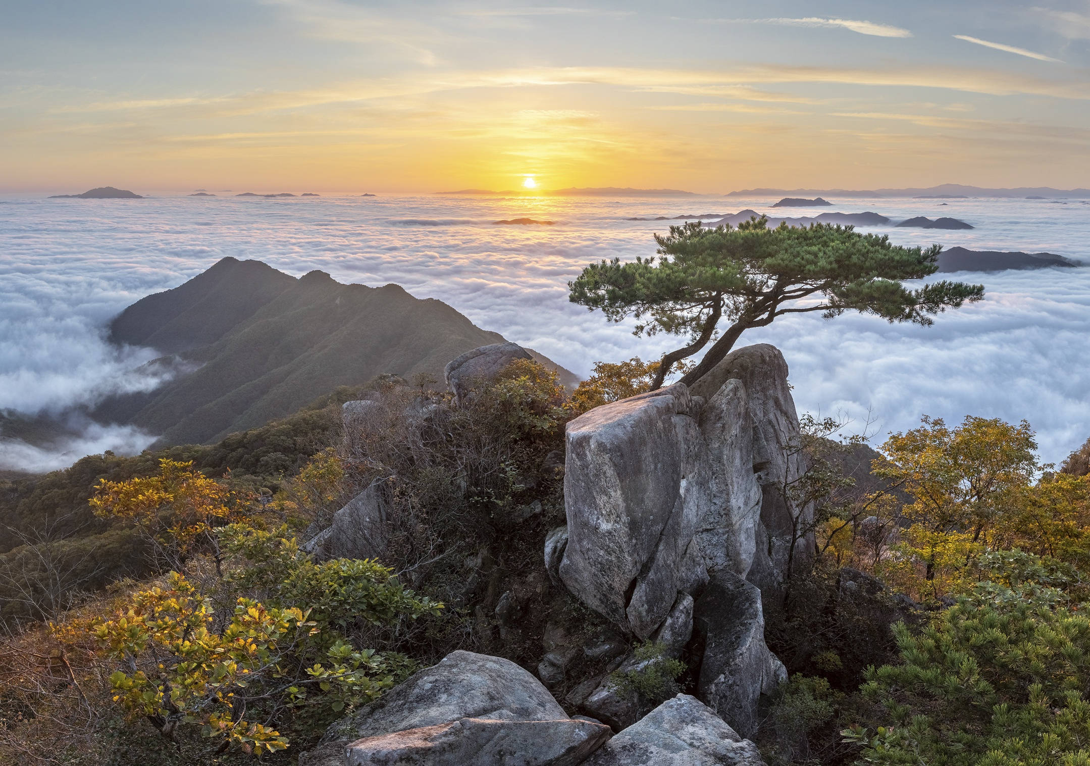 南韓 桌布 壁紙 — 一棵孤獨的松樹棲息在岩石山峰上，太陽在下方雲海中升起。