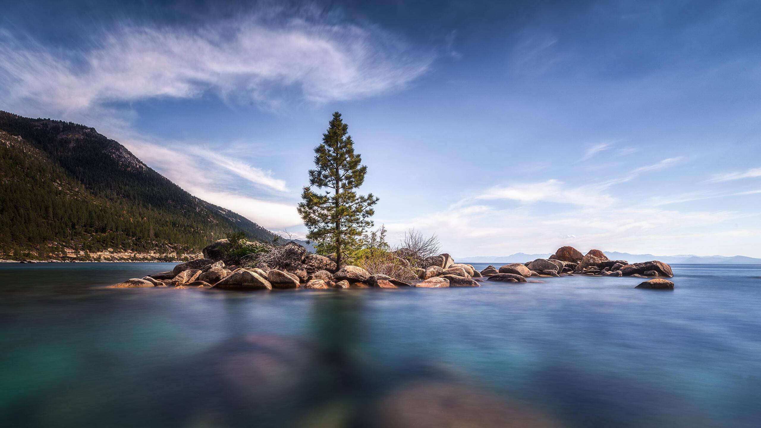 Lake 桌布 壁紙 — 一棵孤獨的松樹矗立在一個寧靜的碧綠湖中的岩石島上，背景有山脈和藍天。
