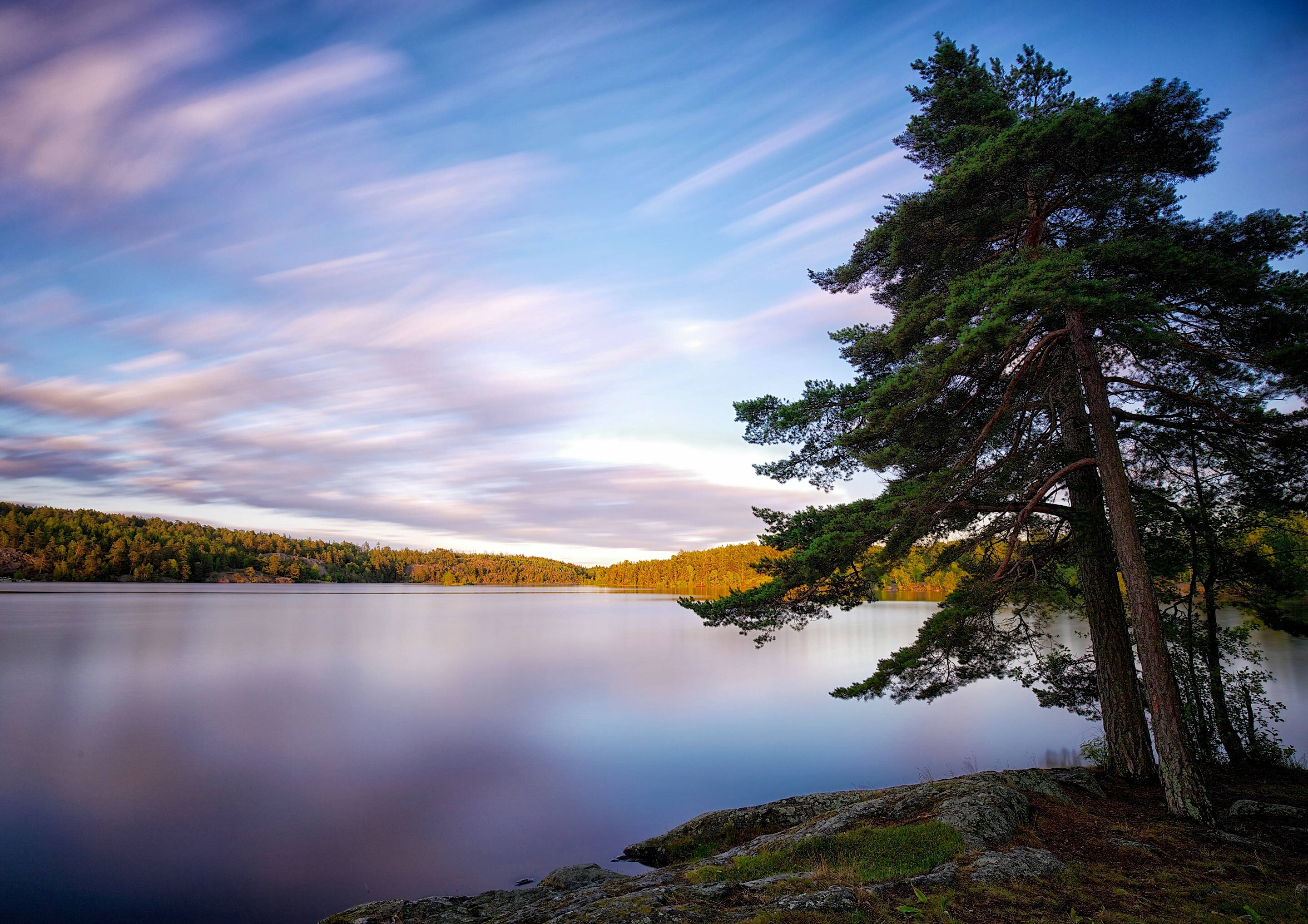 Sweden 桌布 壁紙 — 一棵孤獨的松樹矗立在岩石海岸旁，旁邊是平靜如鏡的湖泊，上方是帶有條紋的暮色天空。
