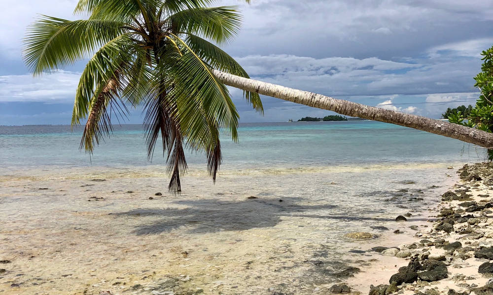 Micronesia 桌布 壁紙 — 一棵孤獨的棕櫚樹傾斜在淺珊瑚沙灘上，海水碧綠，天空多雲。