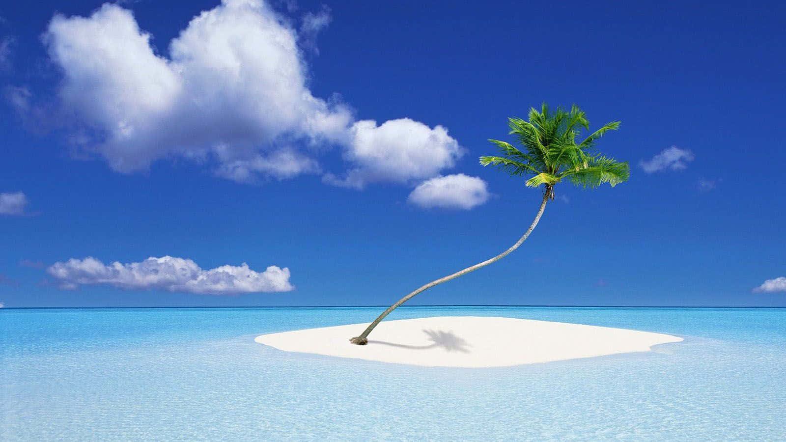 Beautiful Sea 桌布 壁紙 — 一棵孤獨的棕櫚樹優雅地傾斜在一個小小的白色沙島上，周圍是清澈碧綠的海水，頭頂是明亮的藍天和蓬鬆的白雲。