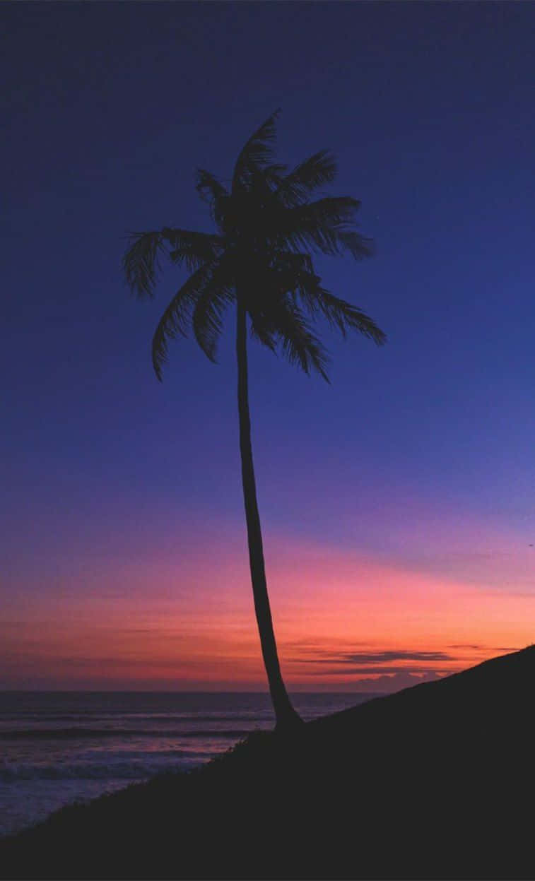 Sunset Beach 桌布 壁紙 — 一棵孤獨的棕櫚樹剪影，映襯著海洋上空充滿活力的暮色天空，帶有紫色和橙色的漸變色調。