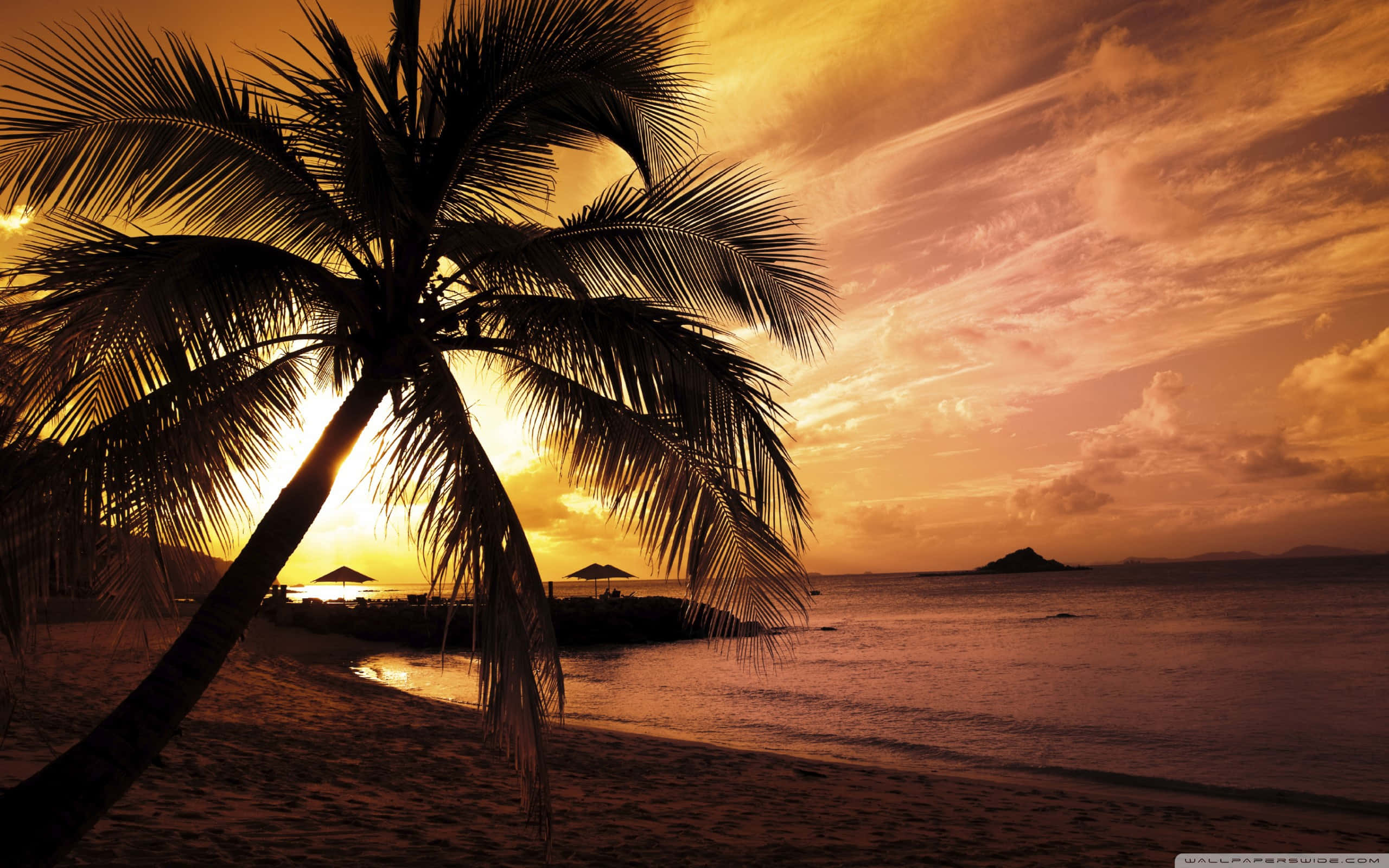 Beach Sunset HD 桌布 壁紙 — 一棵孤獨的棕櫚樹在寧靜的熱帶海灘上，以火熱的橙色日落為背景形成剪影，遠處有遮陽傘和寧靜的海水。