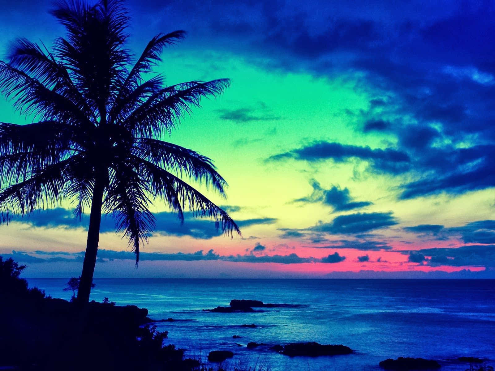 Beautiful Sky 桌布 壁紙 — 一棵孤獨的棕櫚樹在平靜的海洋上，映襯著融合了電光藍、綠色和粉紅色的鮮豔日落天空剪影。