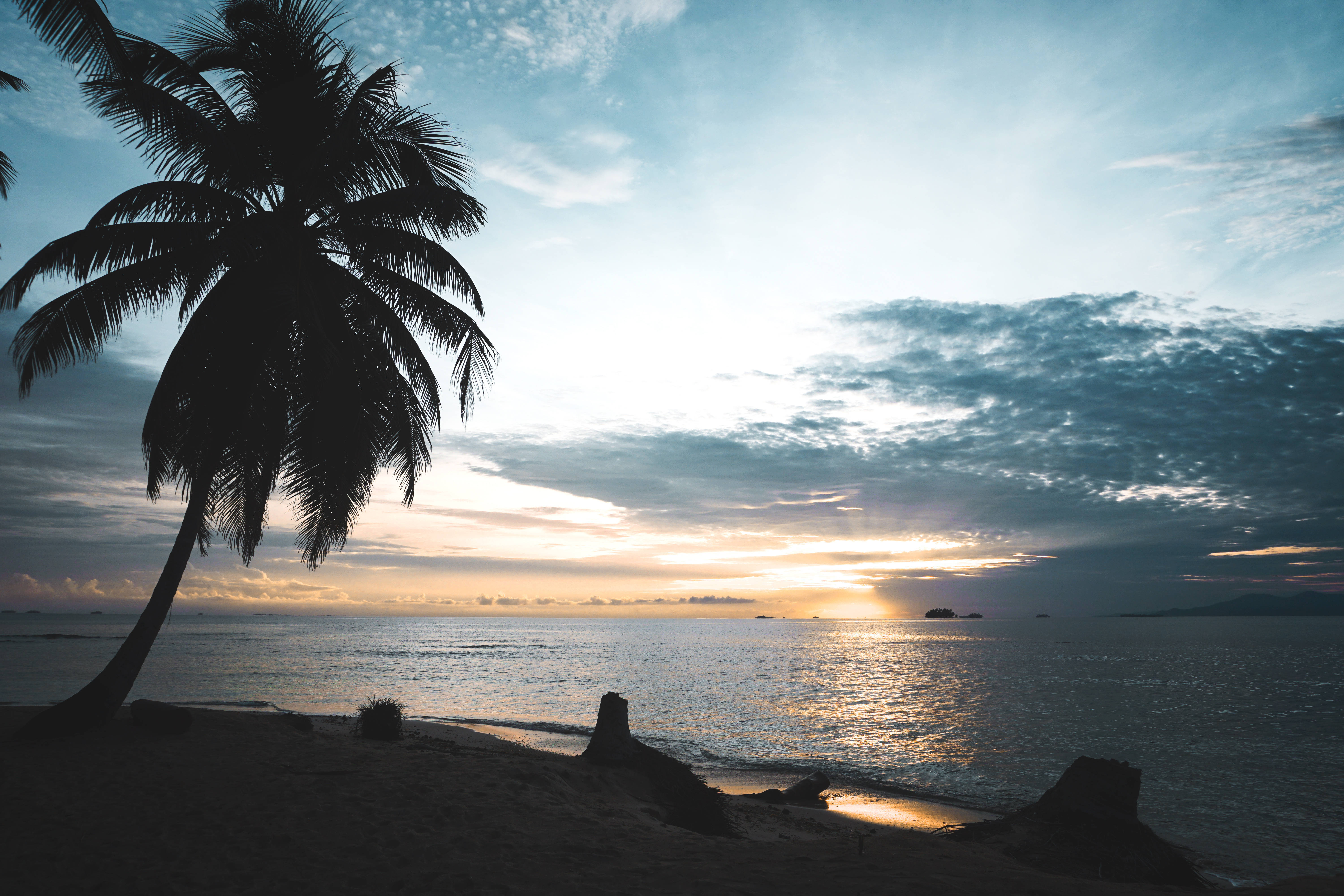 Panama 桌布 壁紙 — 一棵孤獨的棕櫚樹在平靜的海面上，襯著遠方島嶼和鮮豔的日落剪影。