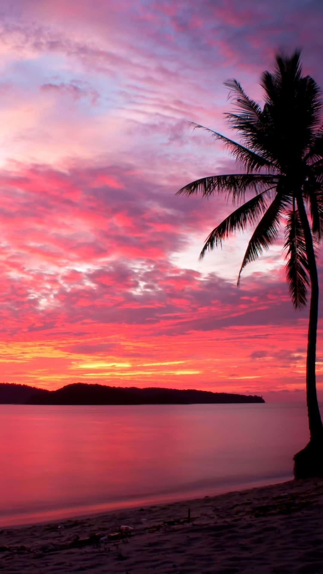 Sunset Beach iPhone 桌布 壁紙 — 一棵孤獨的棕櫚樹在平靜的熱帶海洋上空，以火紅的粉紅色和橙色日落為背景形成剪影。