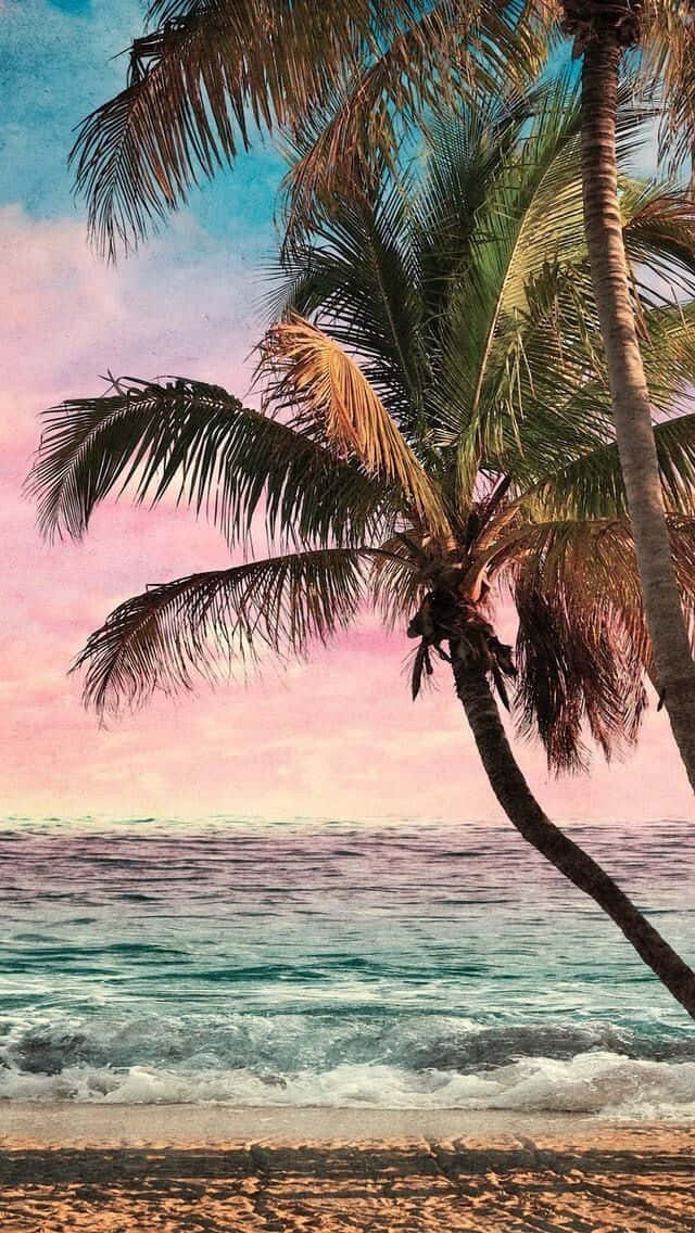 Cute Beach iPhone 桌布 壁紙 — 一棵孤獨的棕櫚樹在日落時分傾斜在碧綠色的海浪上，天空呈現粉紅色和藍色。